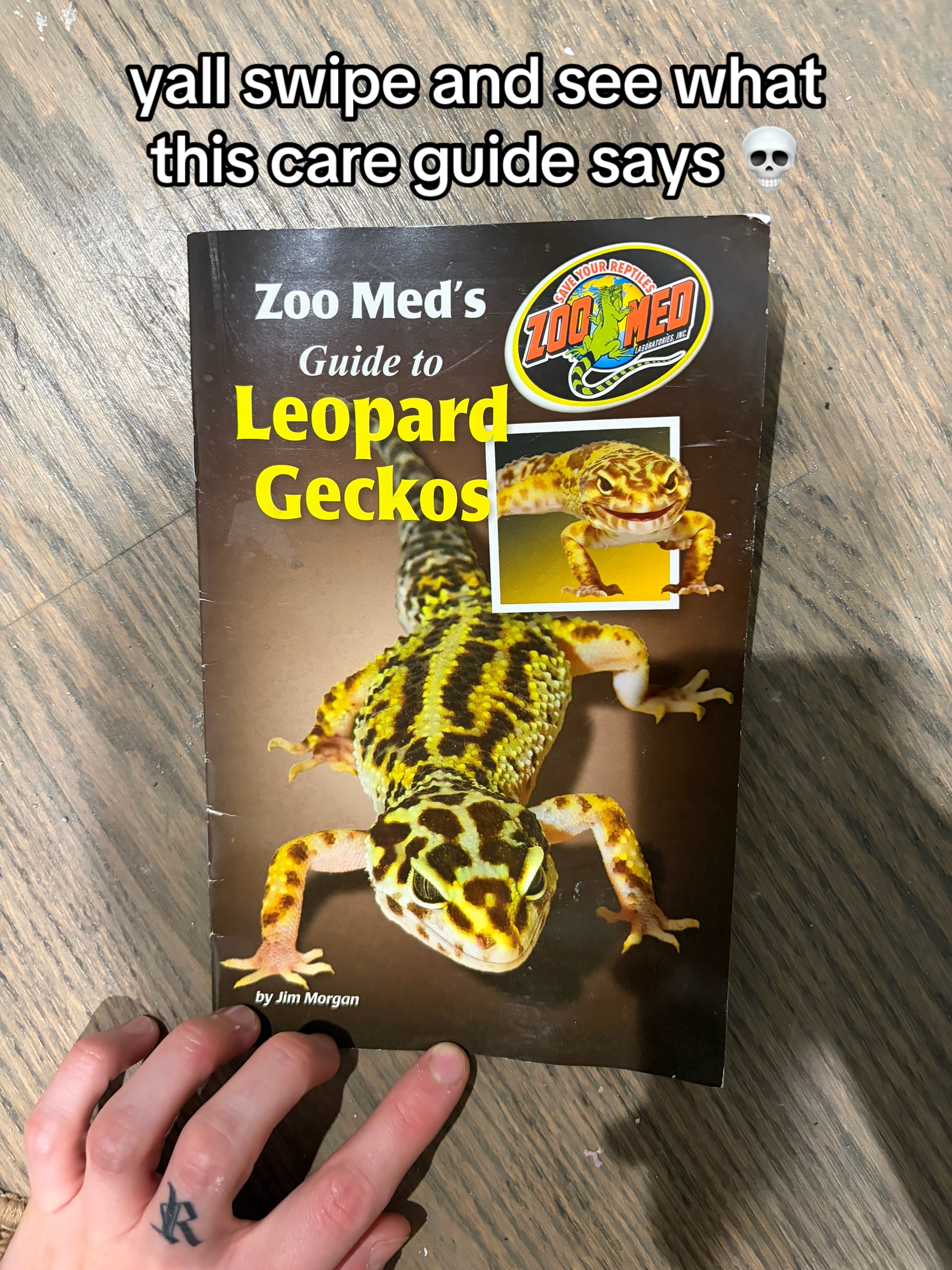 @layla🦎🍃