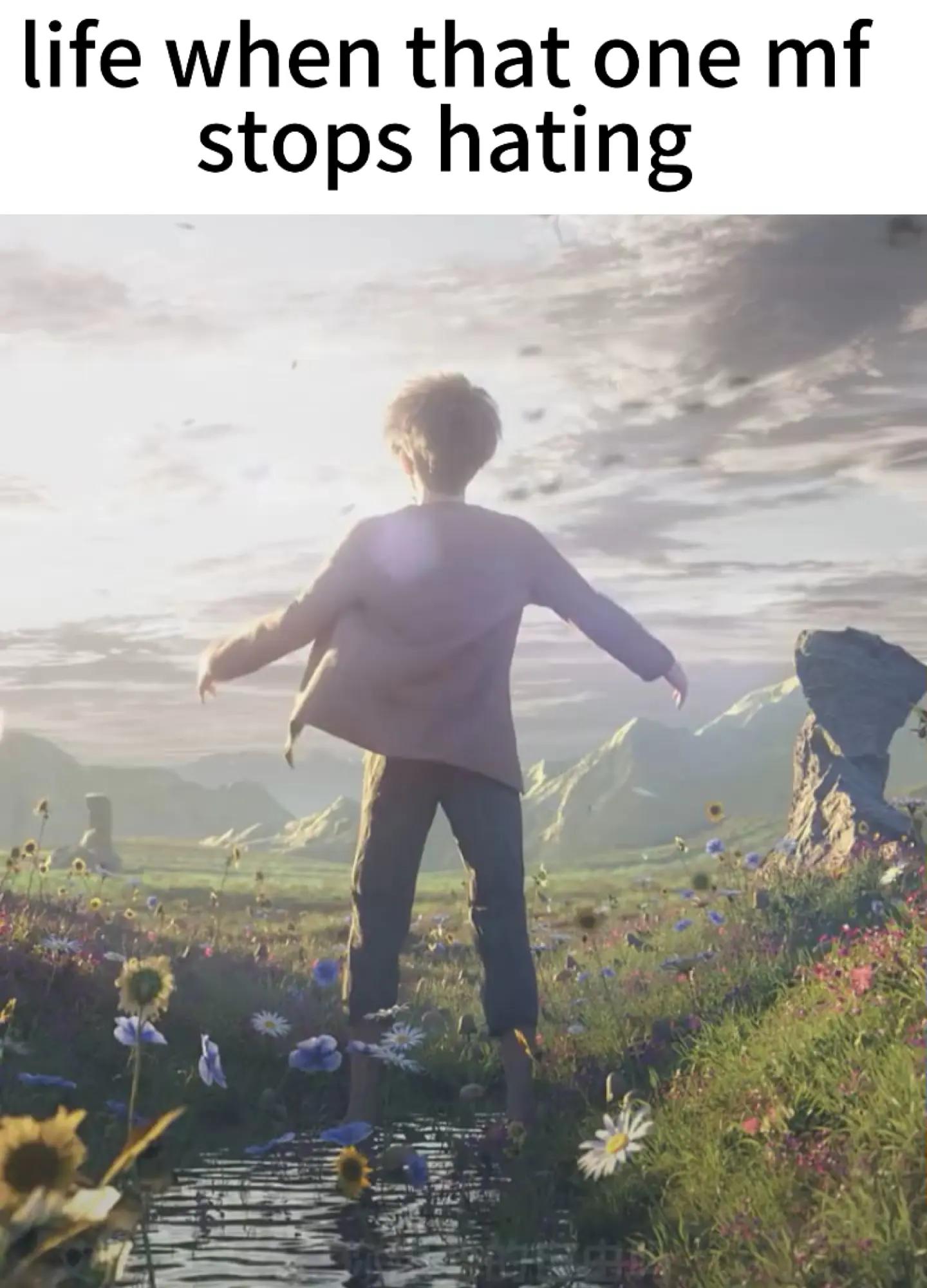 @*SIRFLUX*