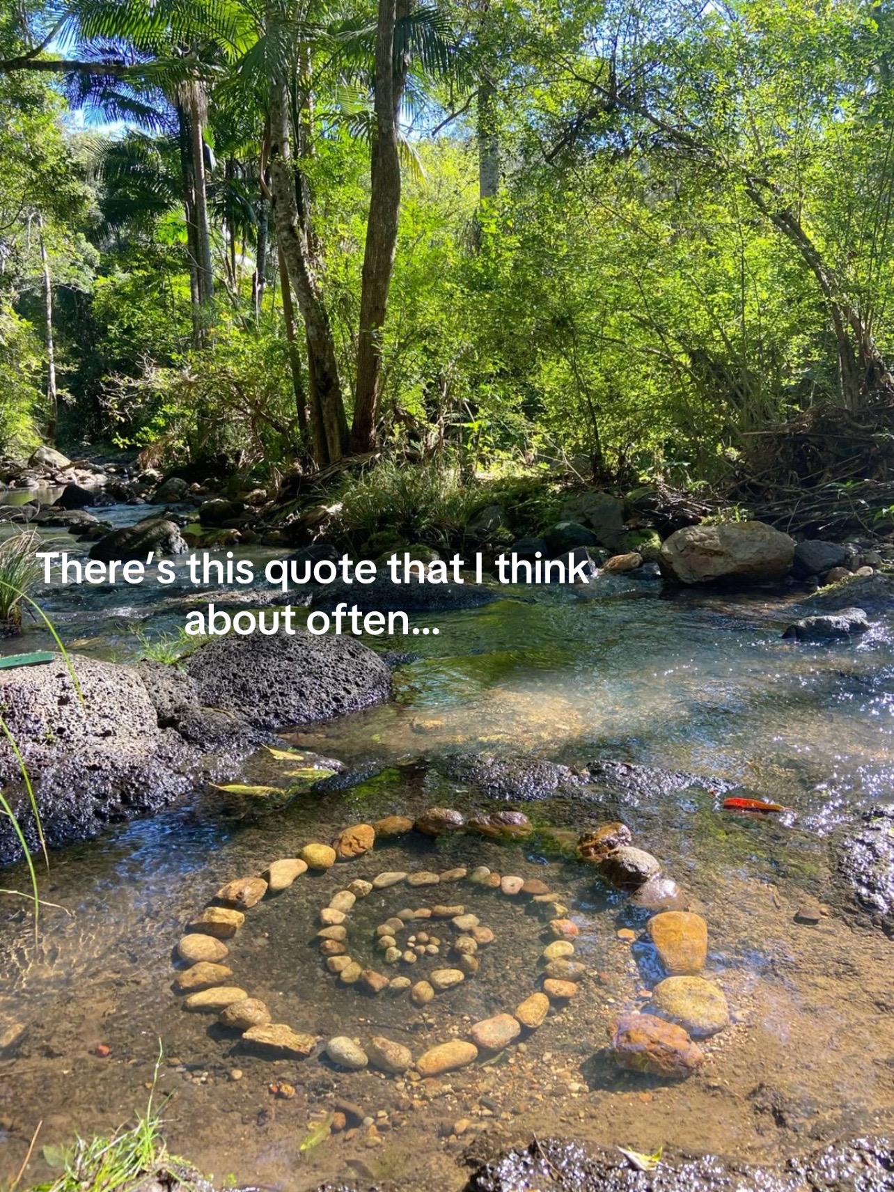 @🦤