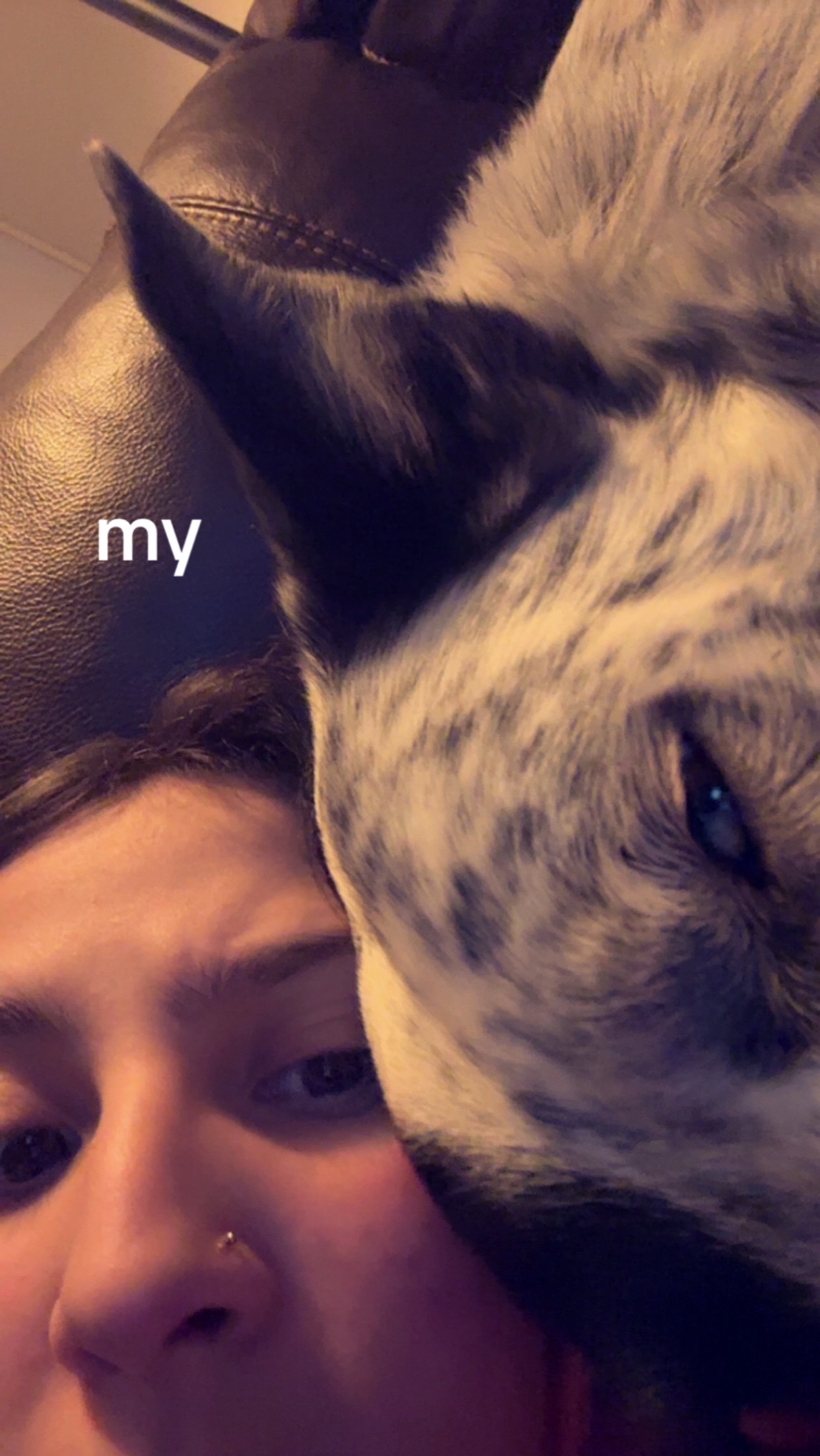 @BrinLee