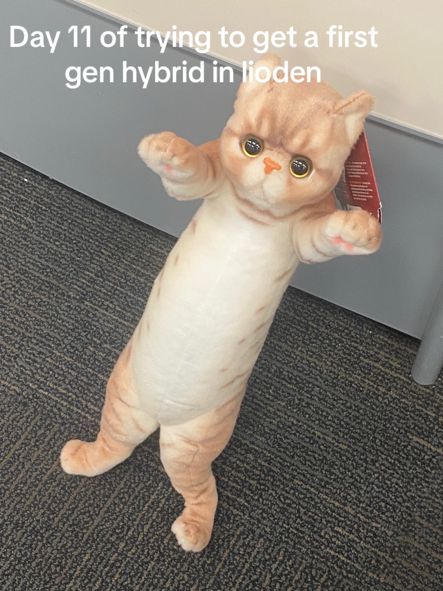 @Melog