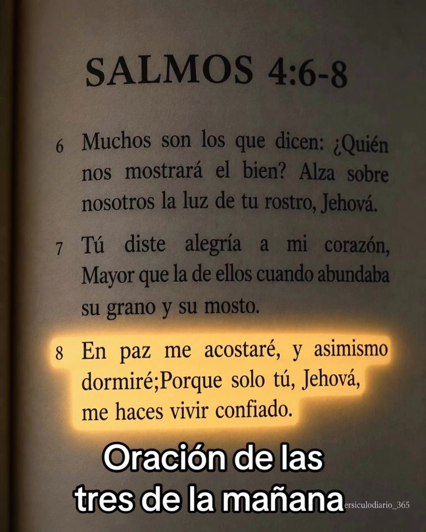 @8luisplaza8