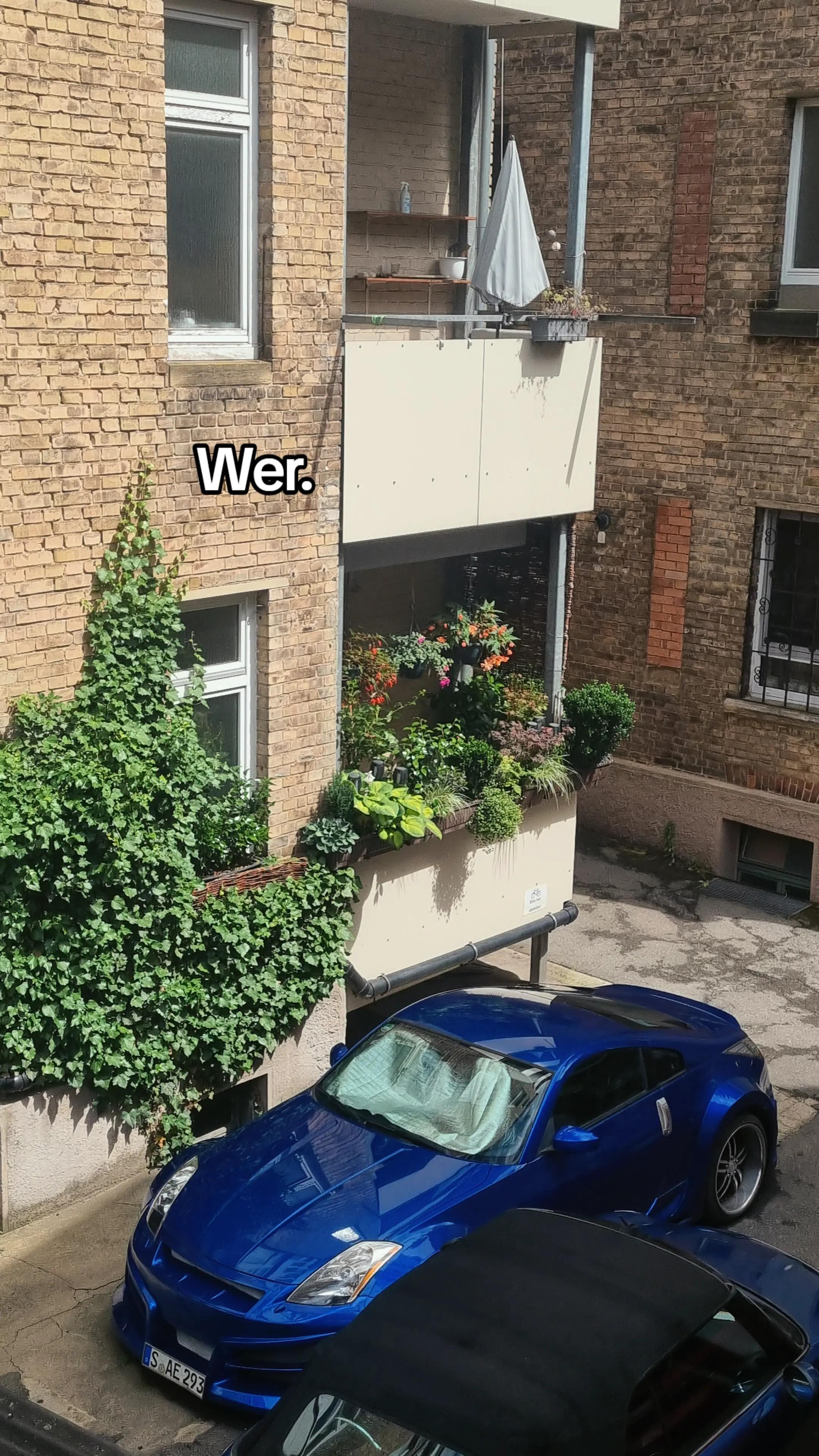 @🇪🇬