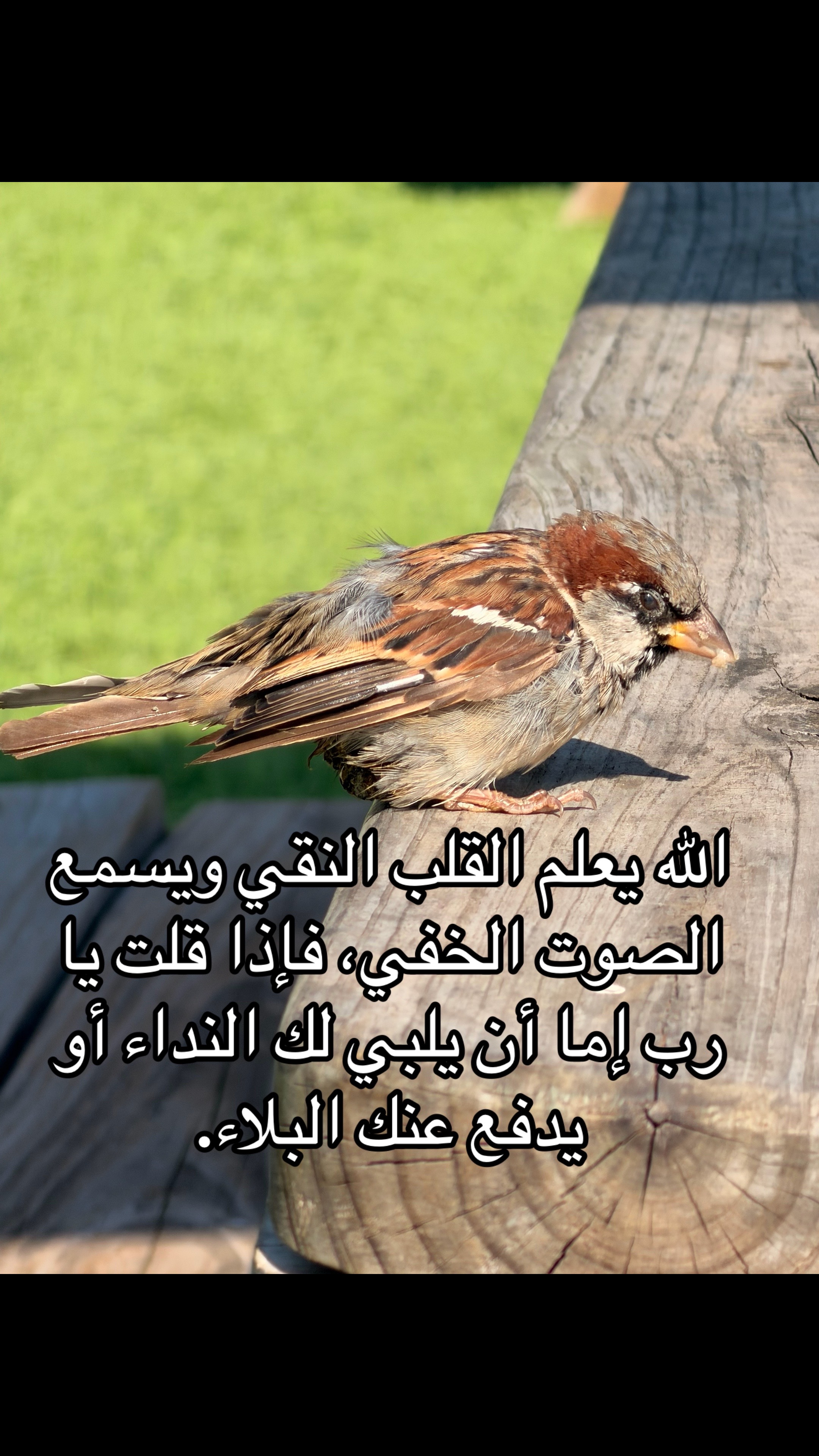 @Jumana Al .. ♡.. جمـانة آلـ