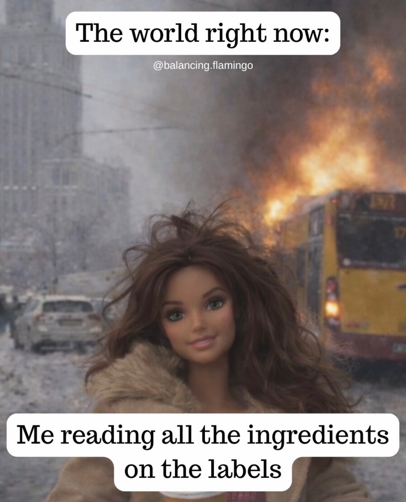 @Signed Safiya