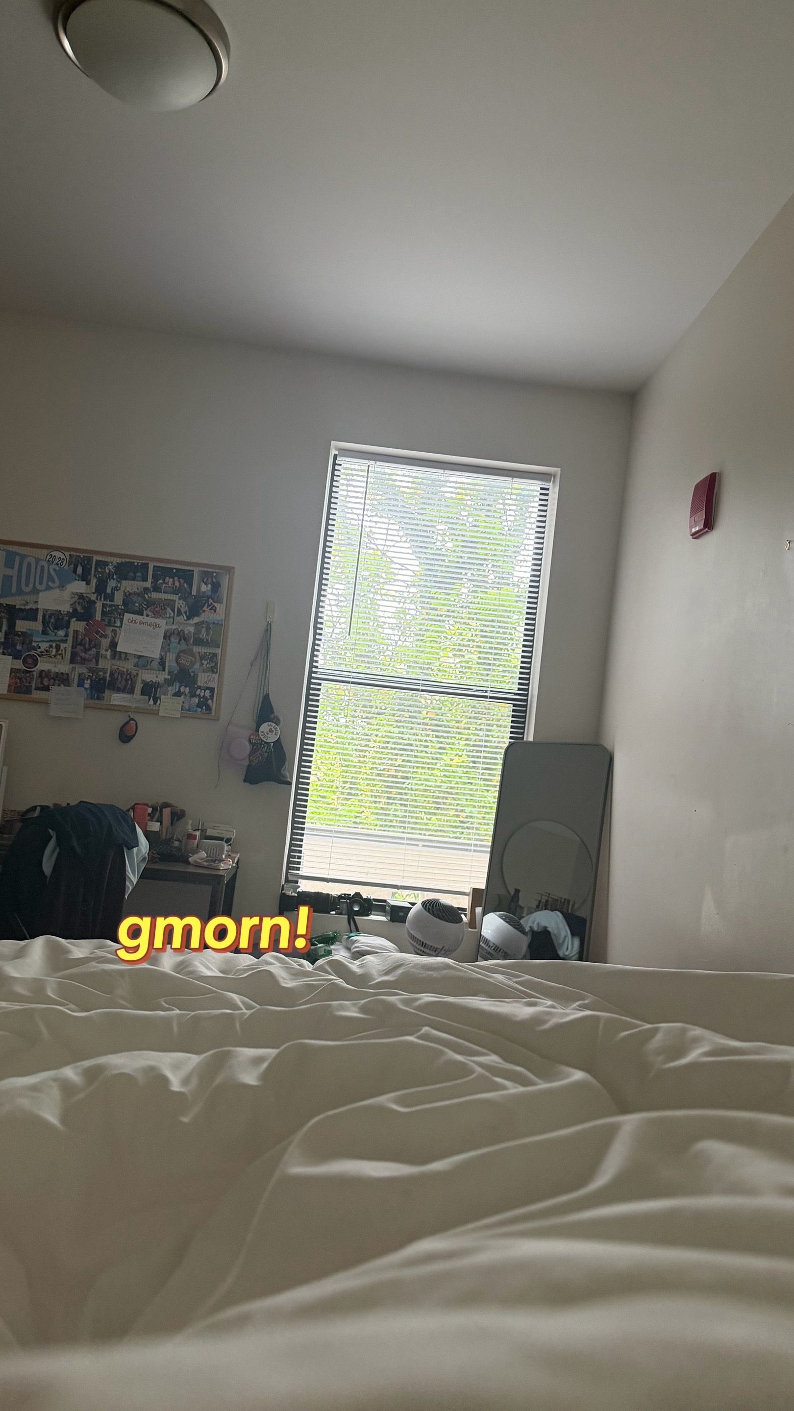 @busybumblebee