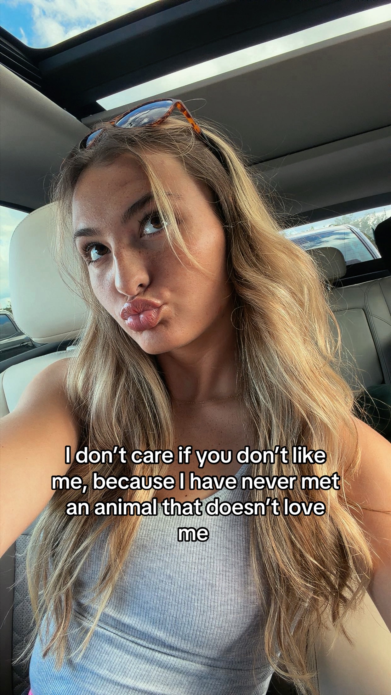 @not kat