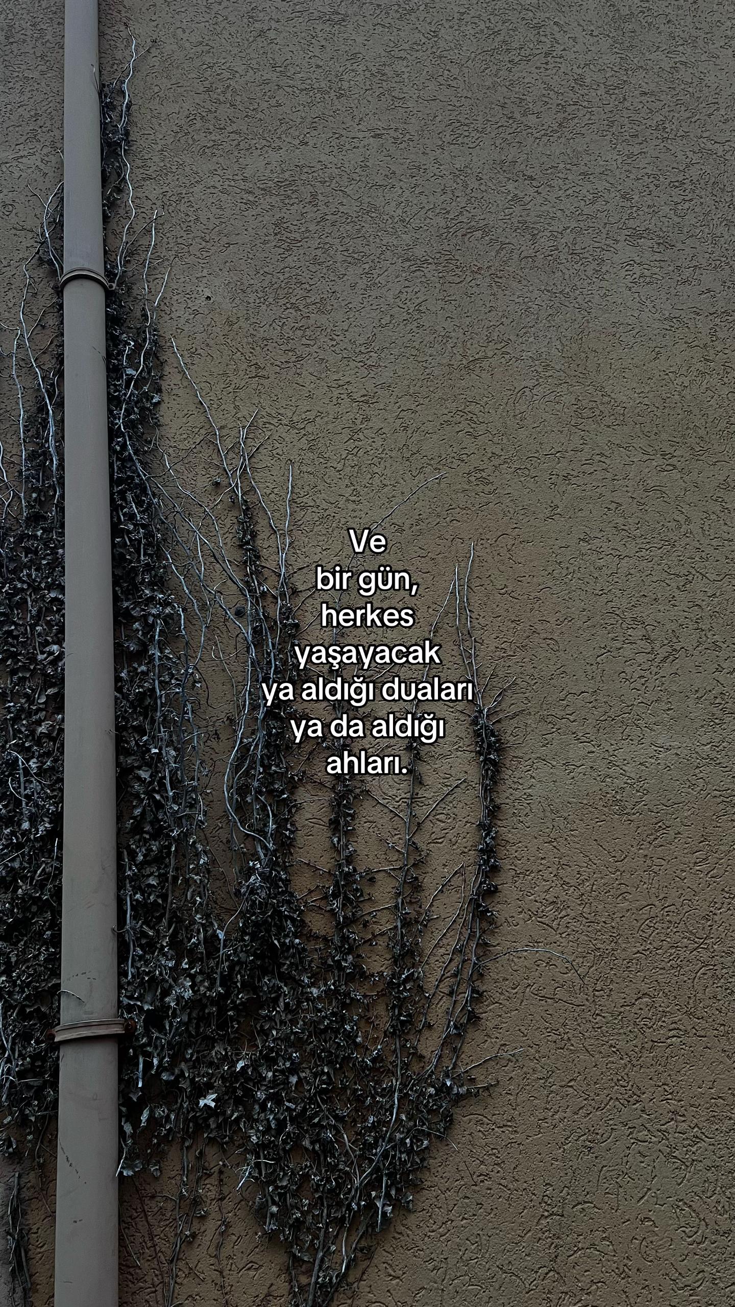 @ℰ.