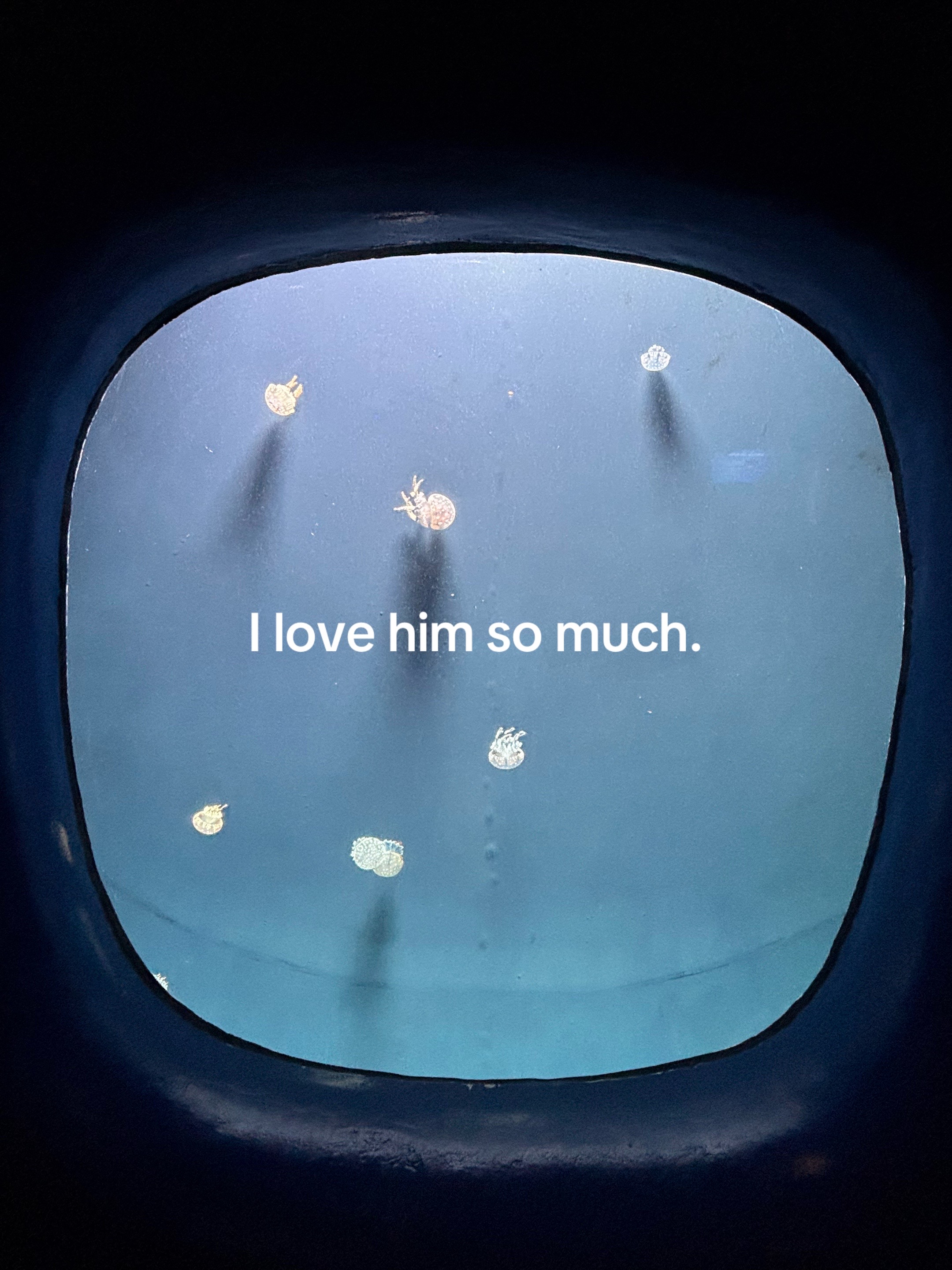 @lovers0ne