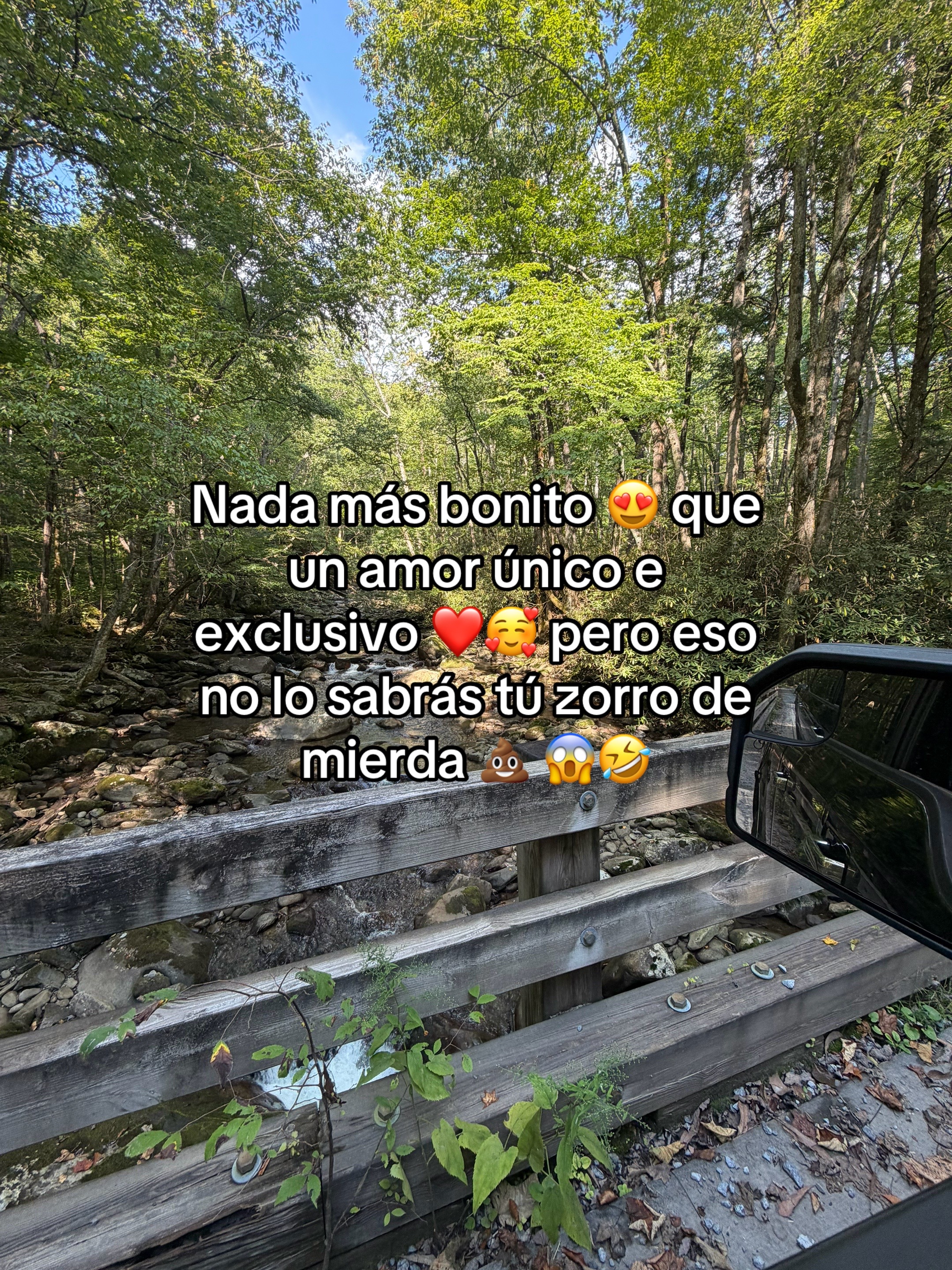 @Gabriela ♥️💞🫠 C.M 🕊️☀️✨