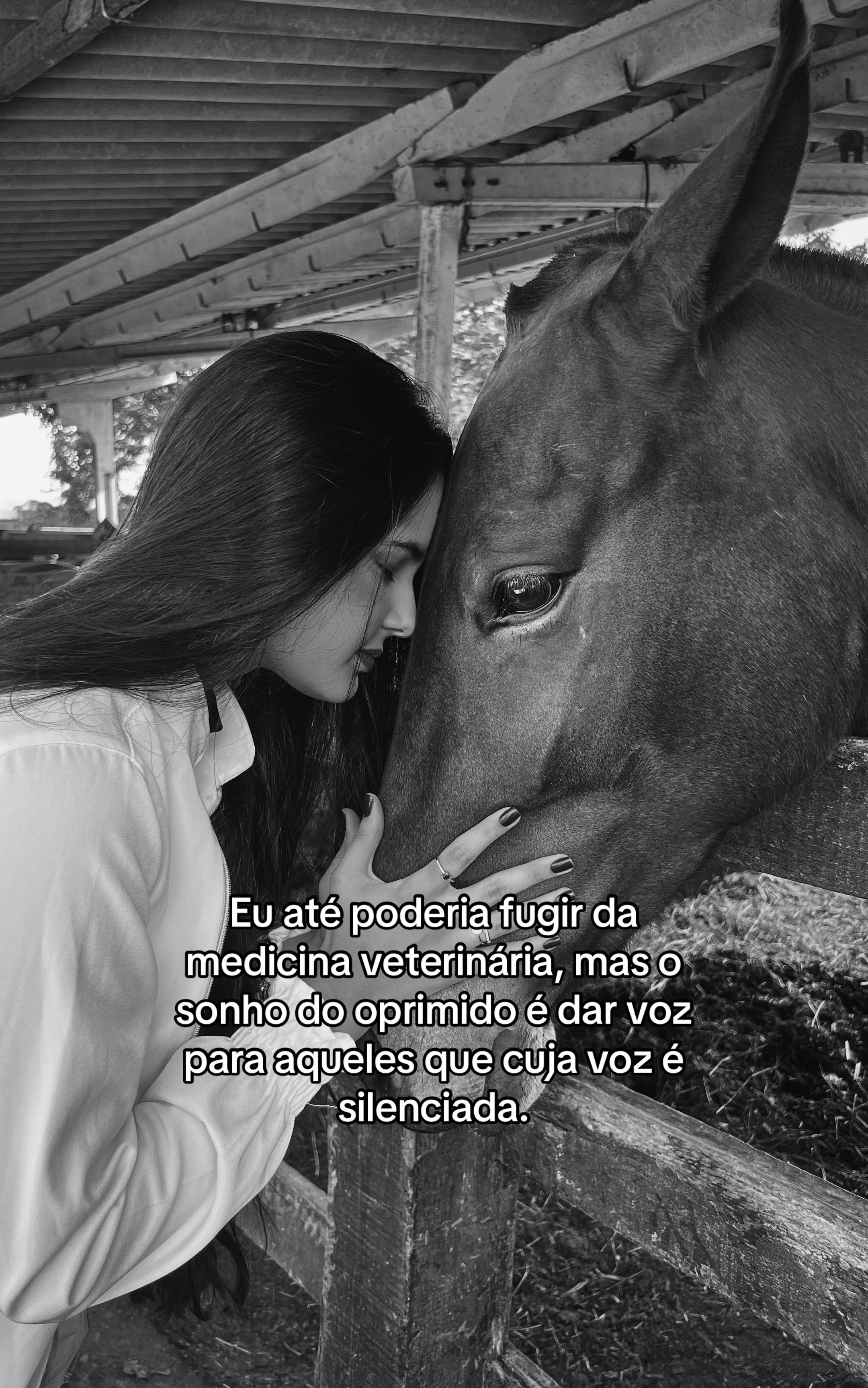 @Julia Moura