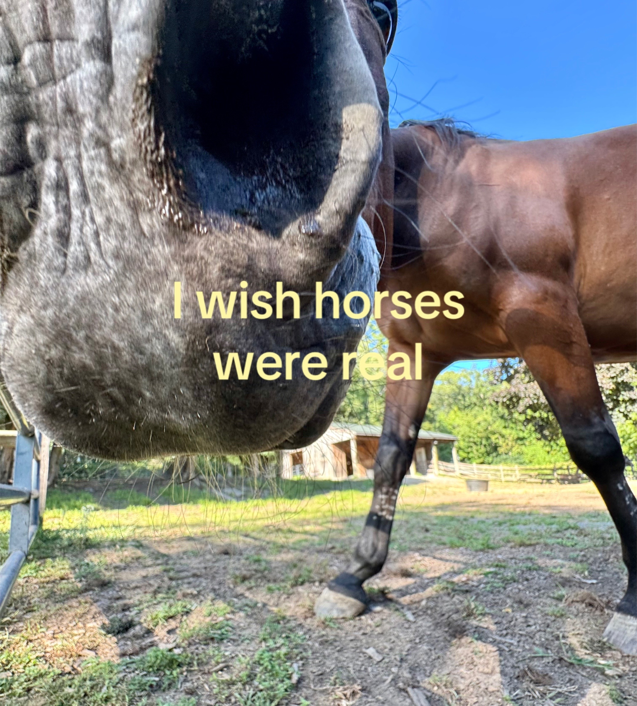 @Equi Evolution