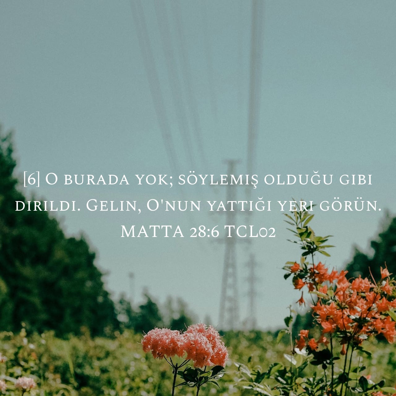 @Zeyno♡Abi
