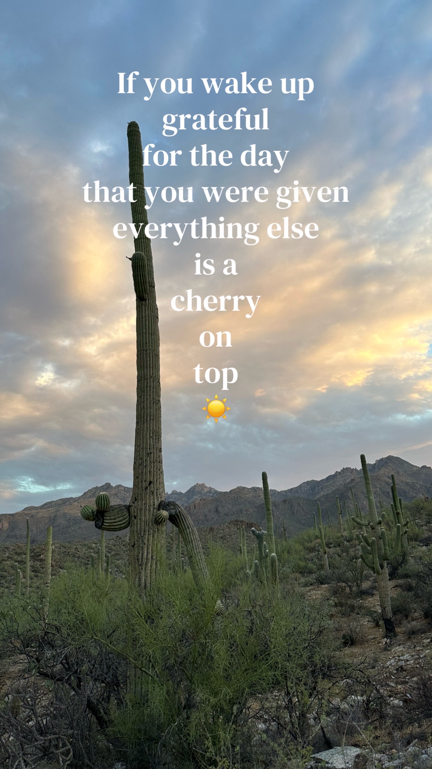 @keliisa🌵✈️