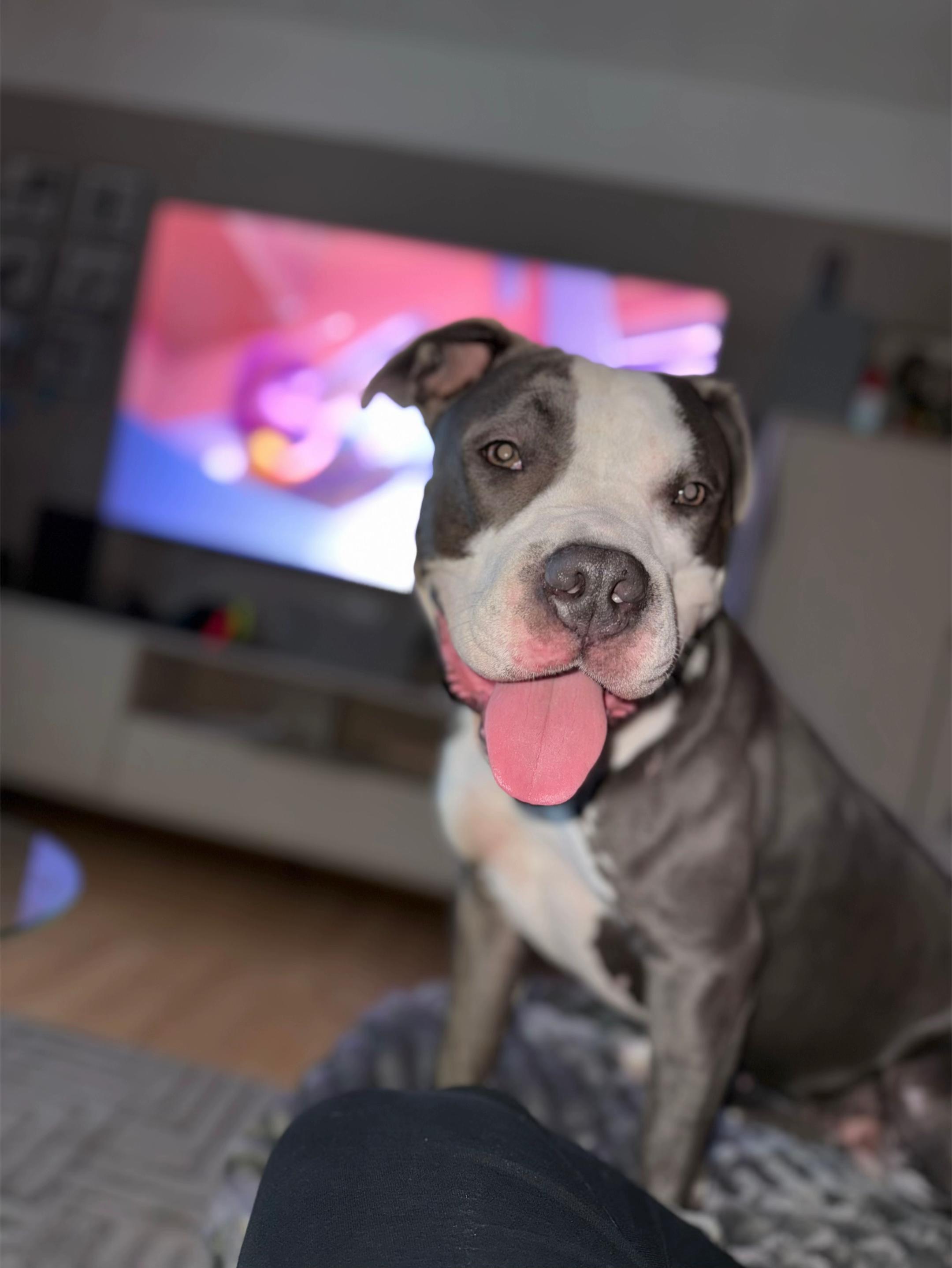 @dielisa.digital