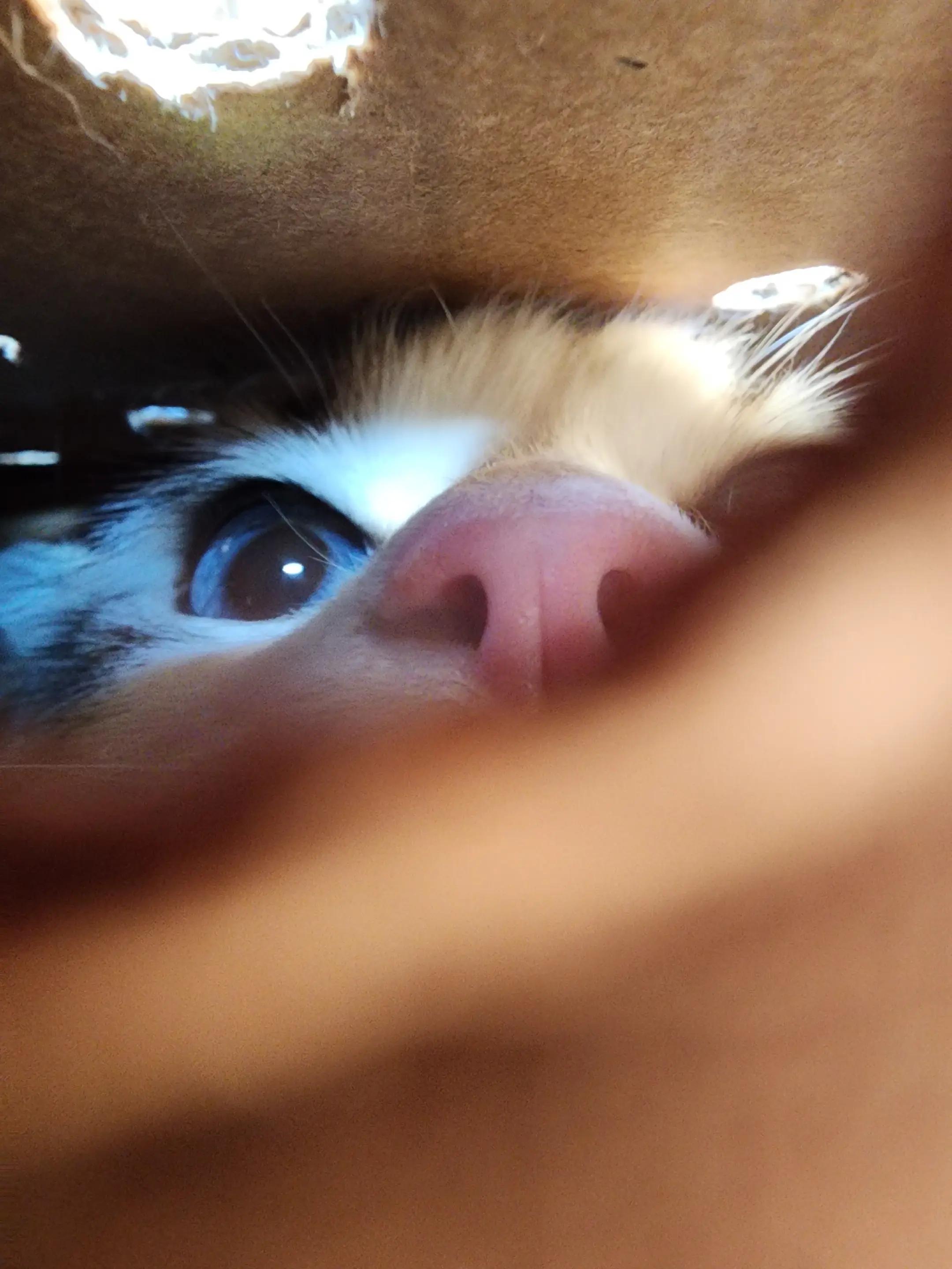 @🦦