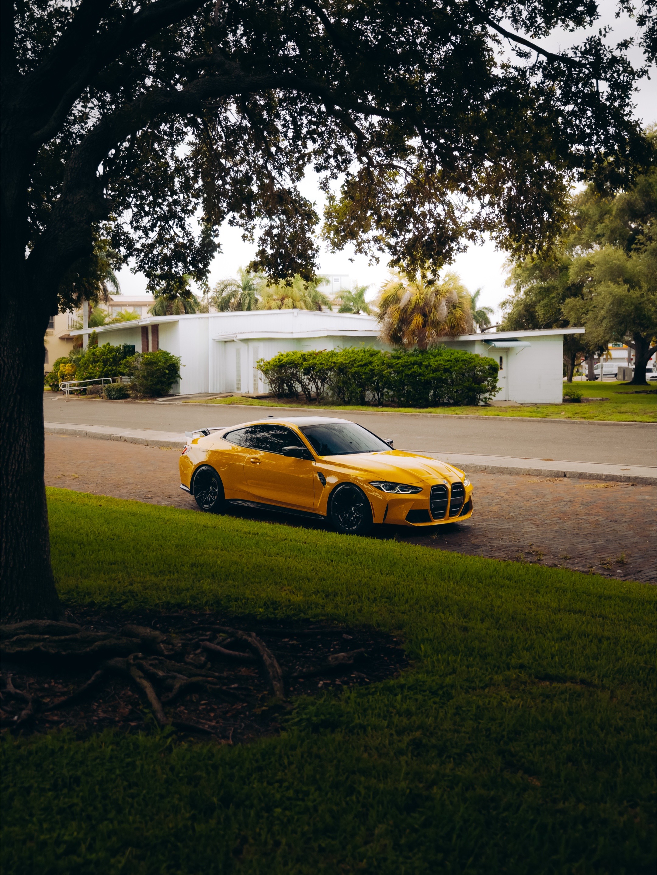 @Premier Auto Lounge