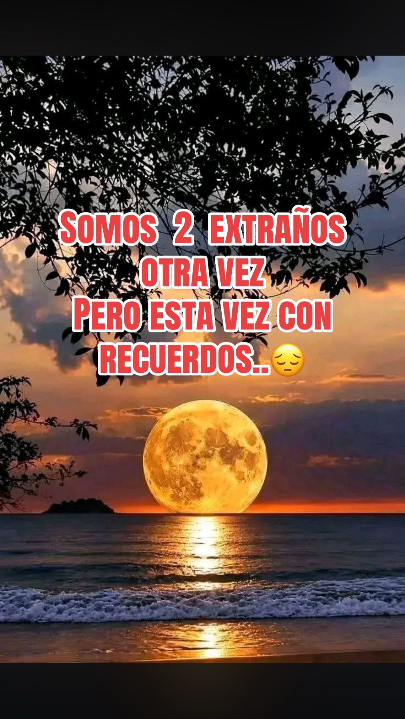 @🇲🇽🌺🇲🇽MORENA🦋🌺🇲🇽