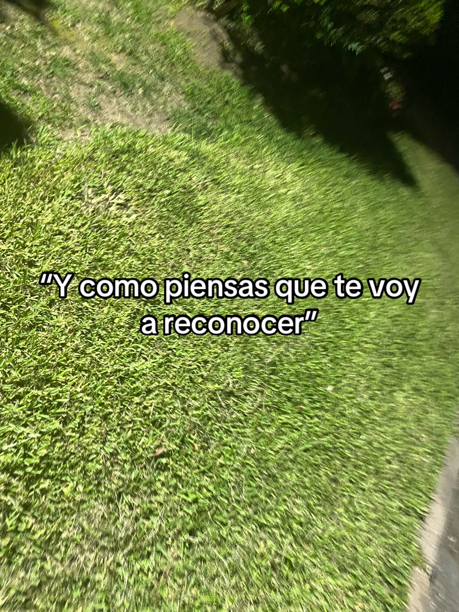 @🇸🇻
