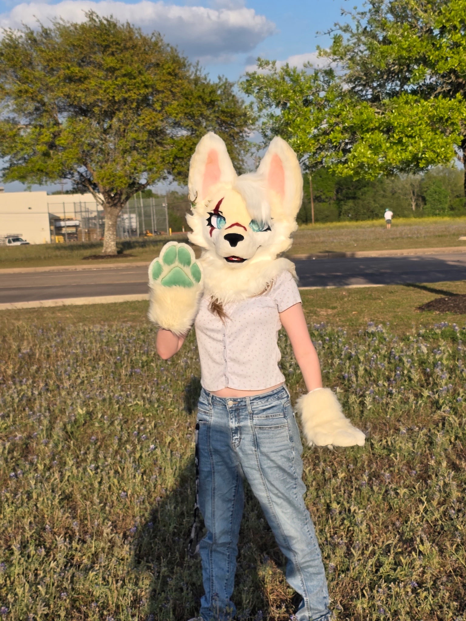 @⋆.˚🍃 ɪɴᴅɪᴄᴀ 🍃˚.⋆
