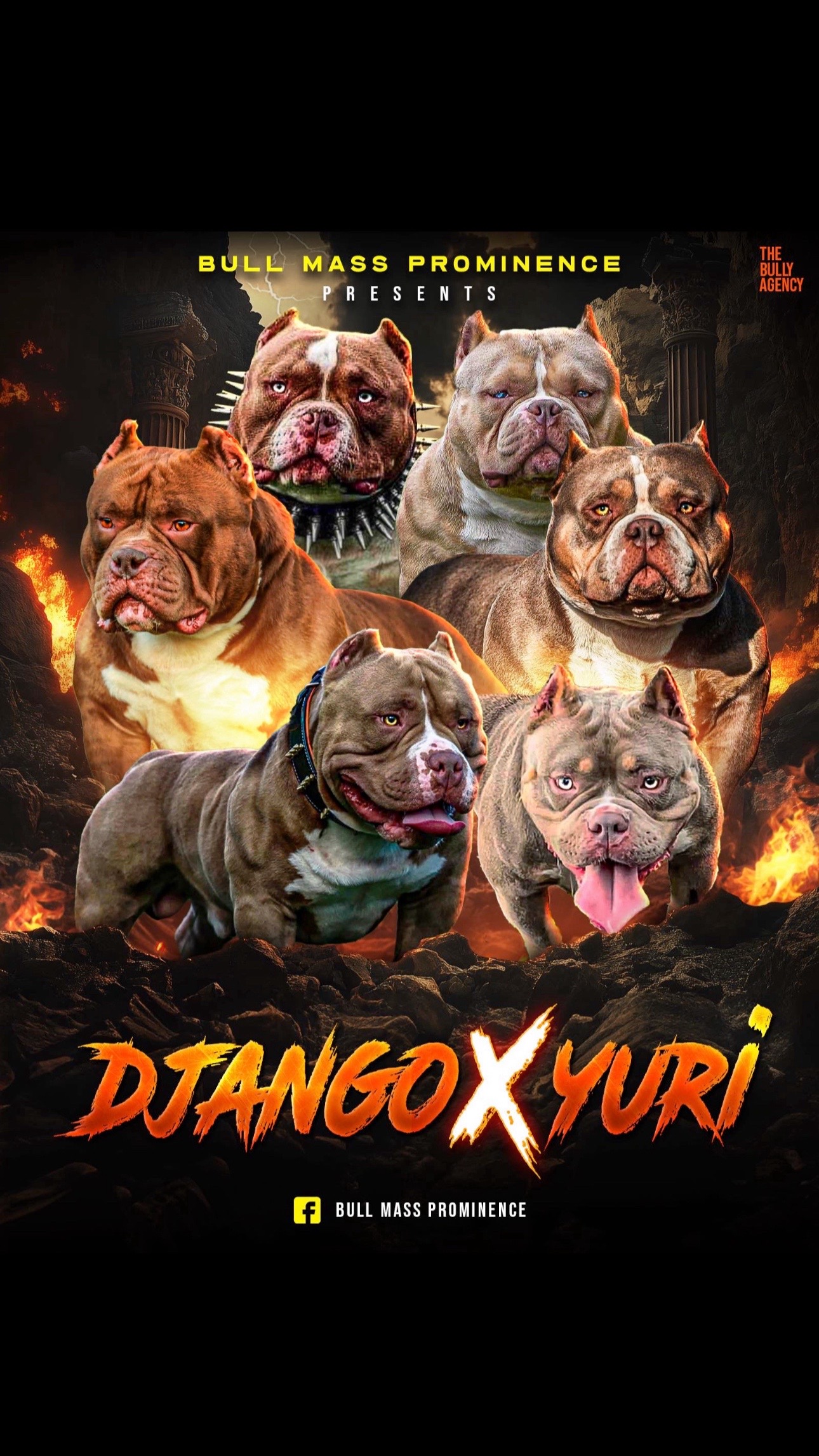 @BullMassProminence