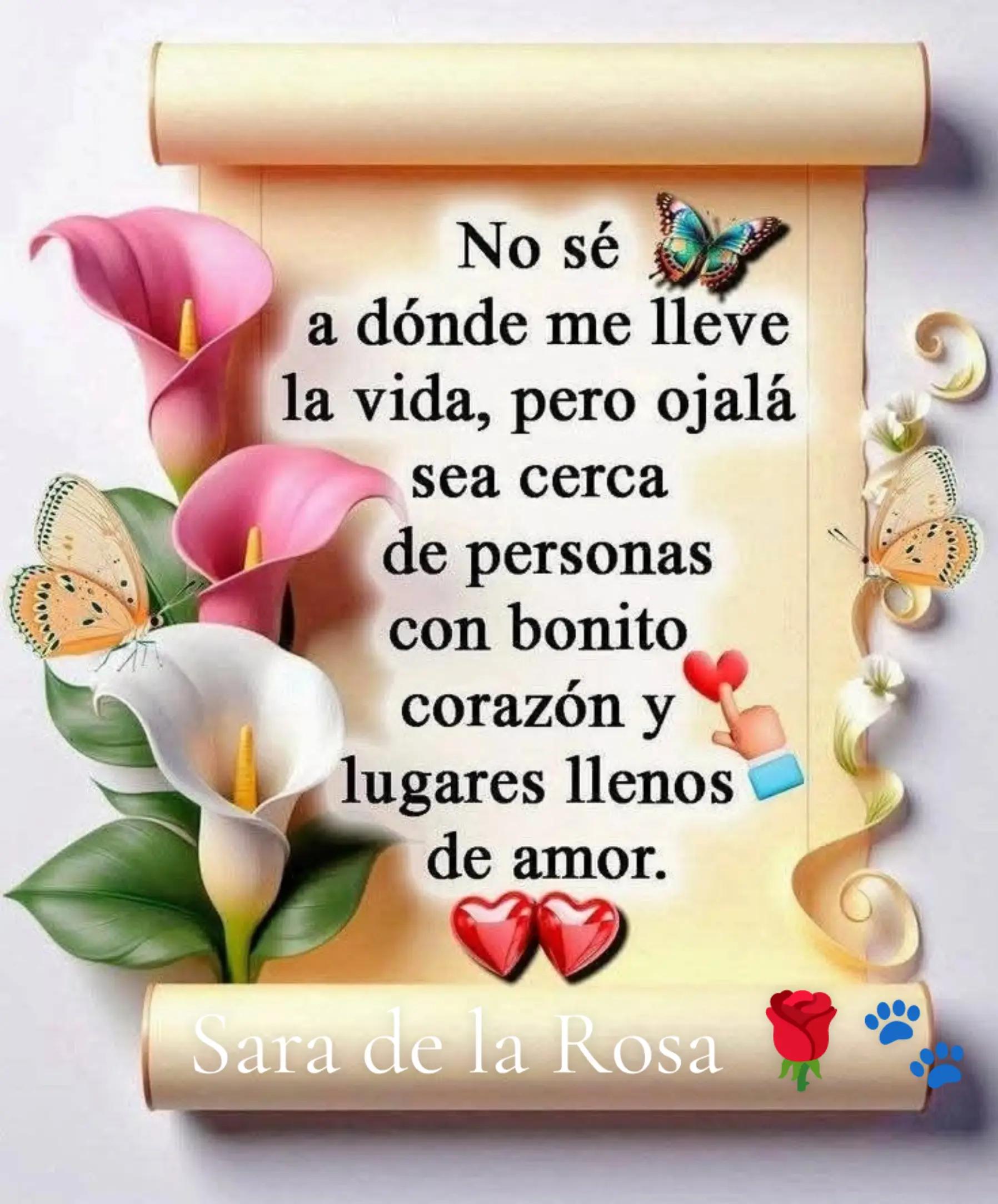 @Chaparrita ☺️❤️🧡💛🩵💙💜2025