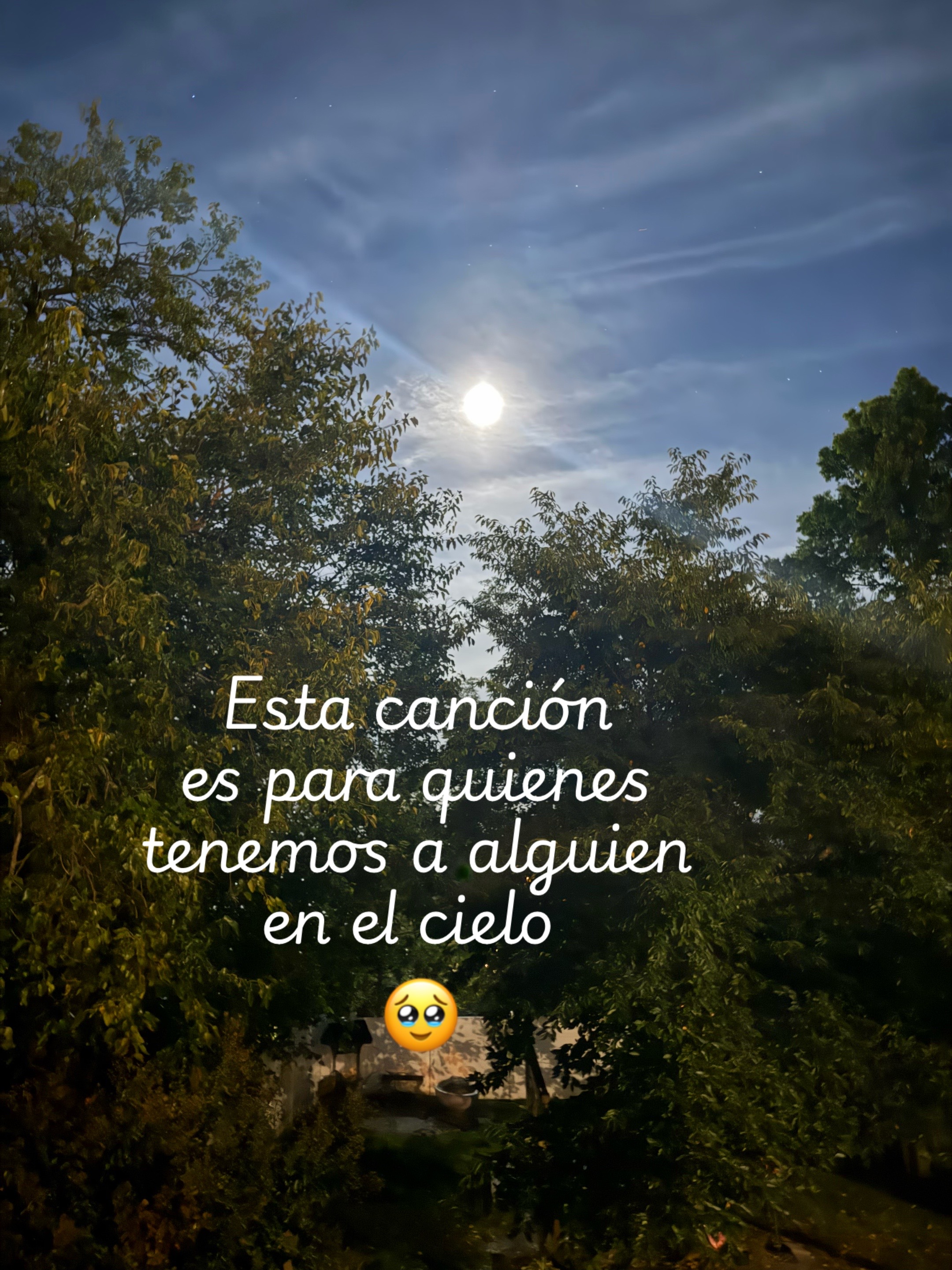 @susanamartinez1634