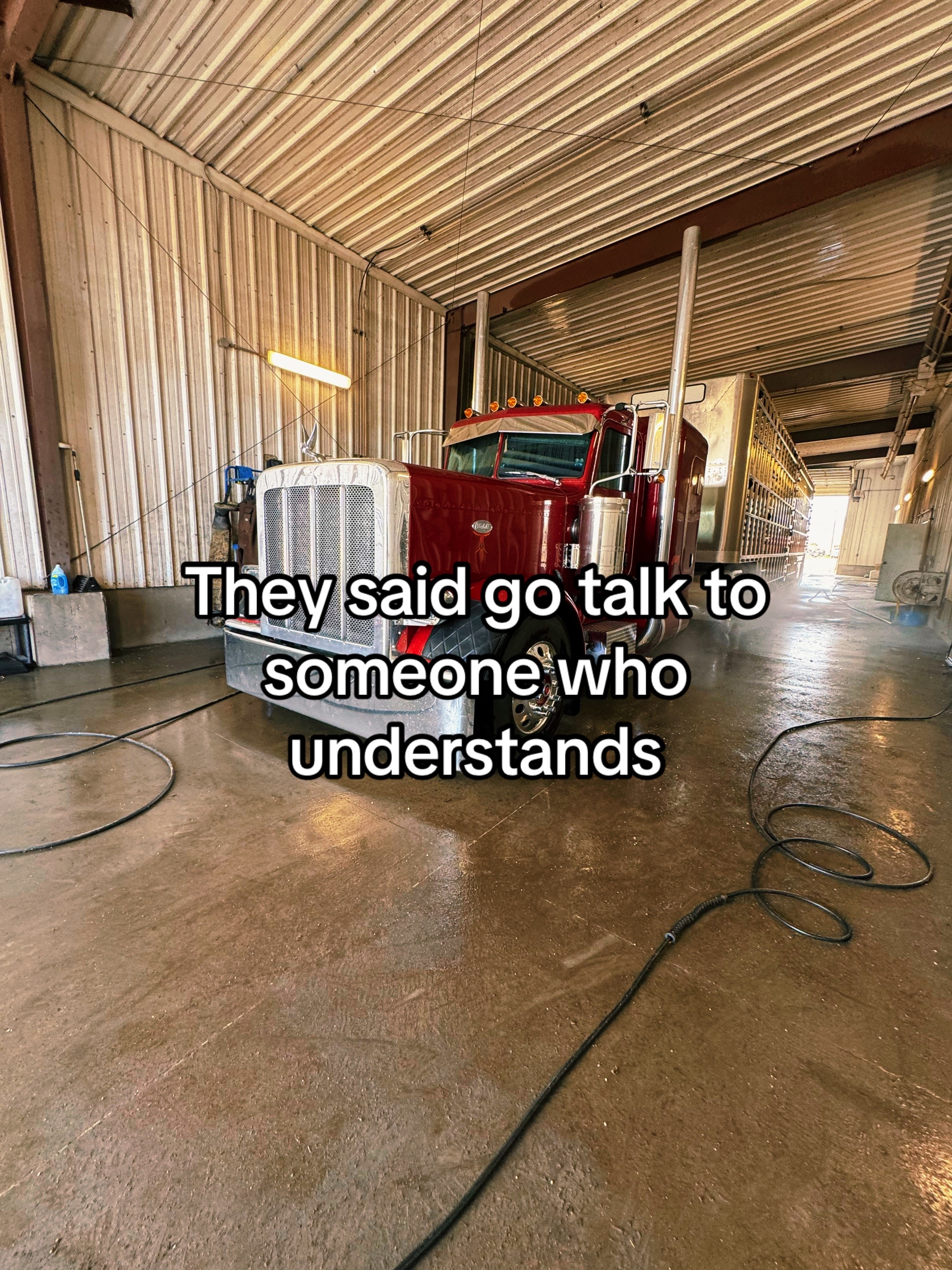 @Wylie🔧
