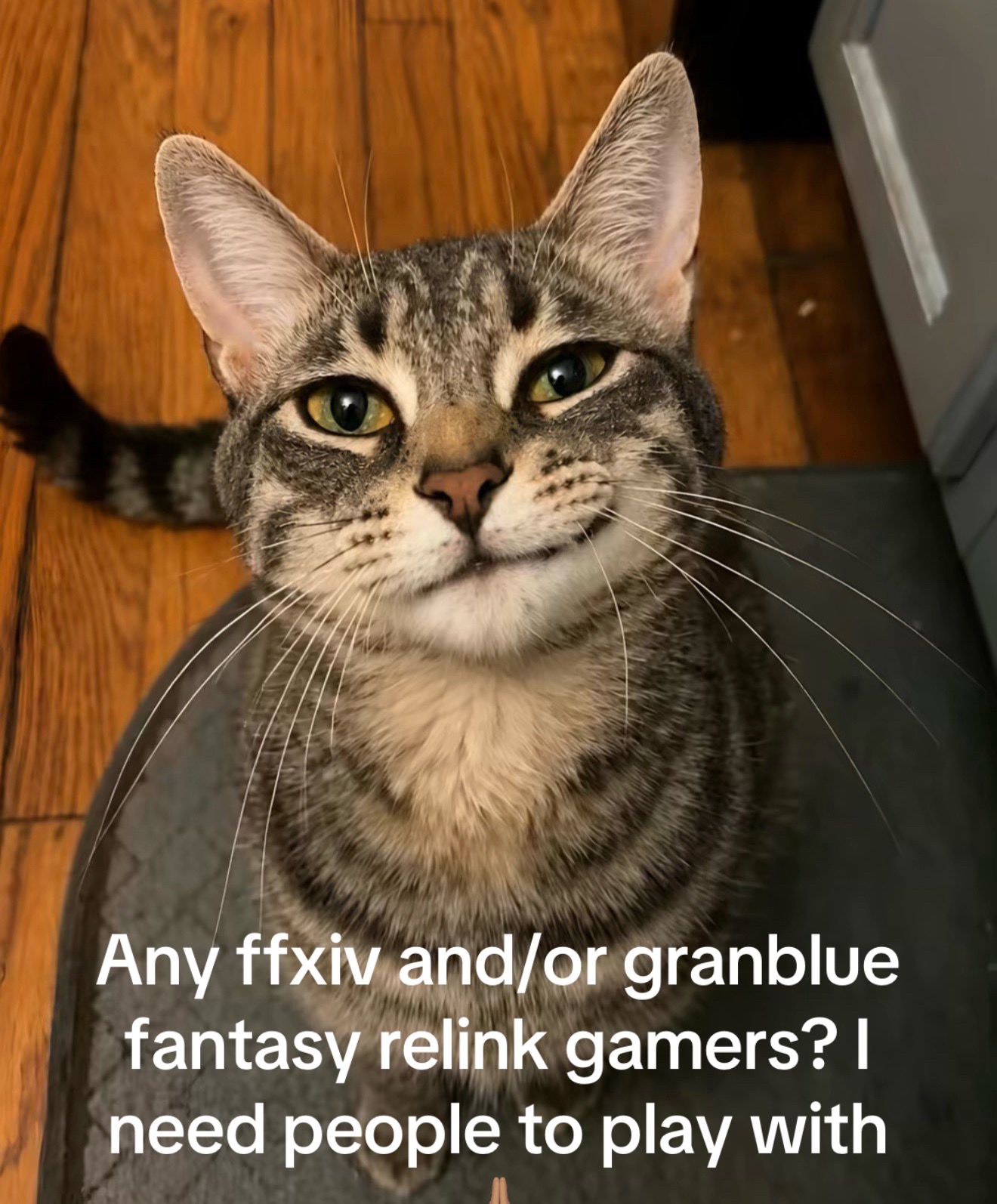 @Veluxify