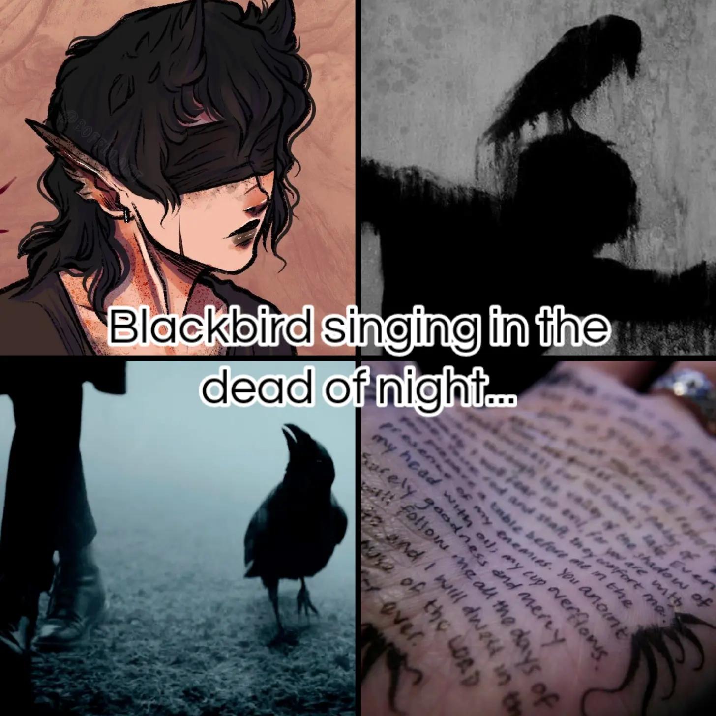 @«★Vaxel (FREE🍉)★»