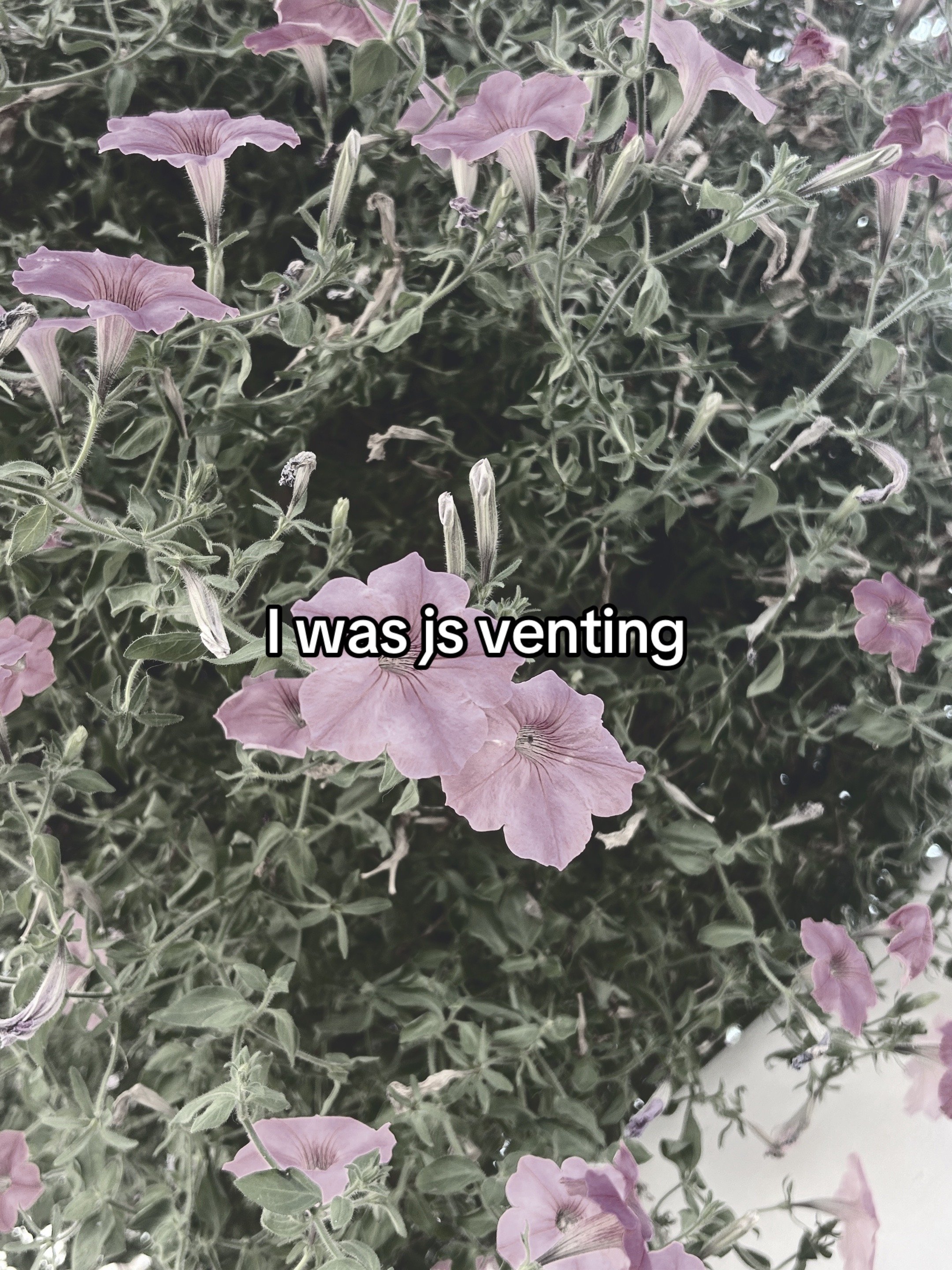 @🤫