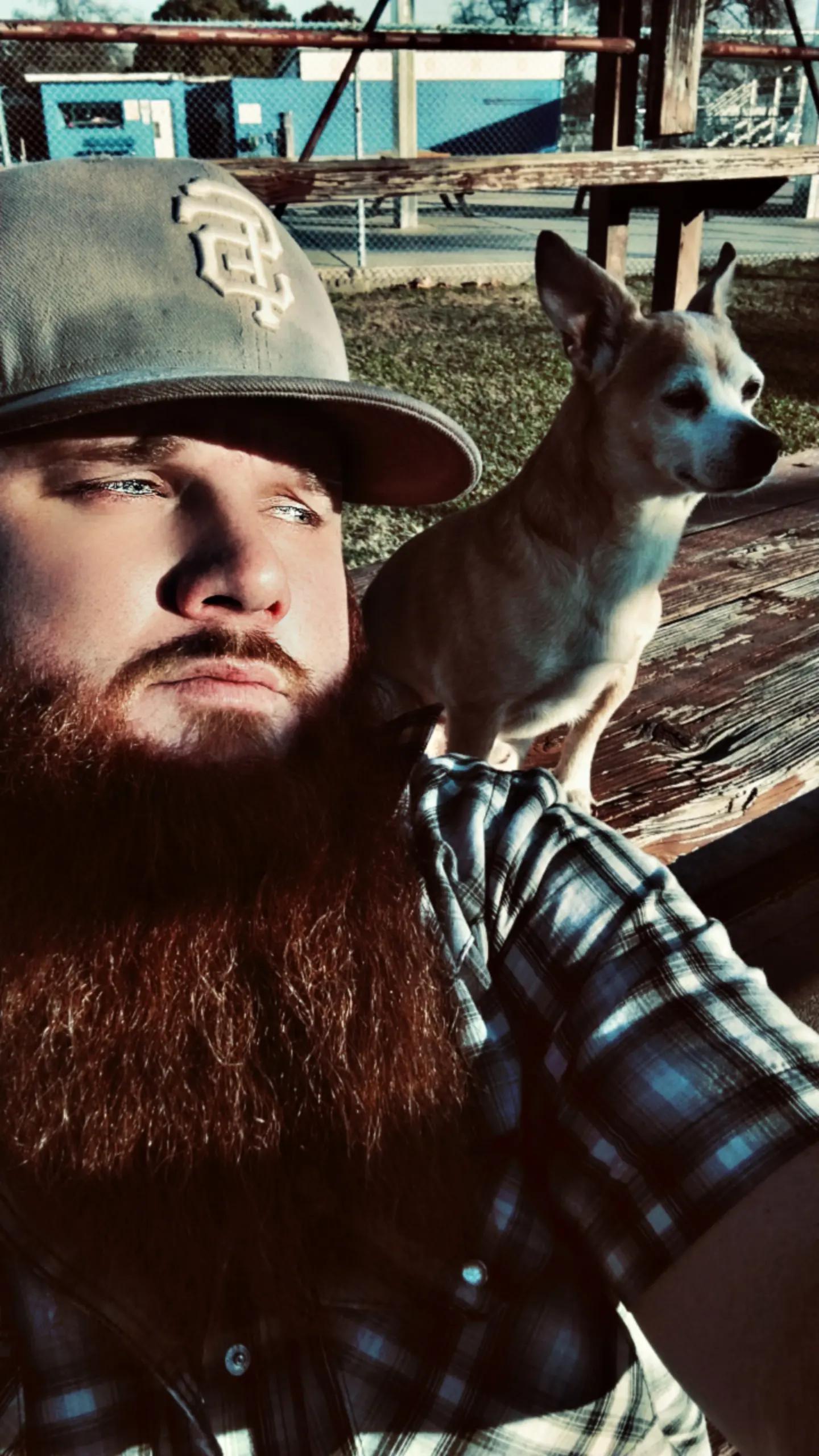 @beardedbirdie