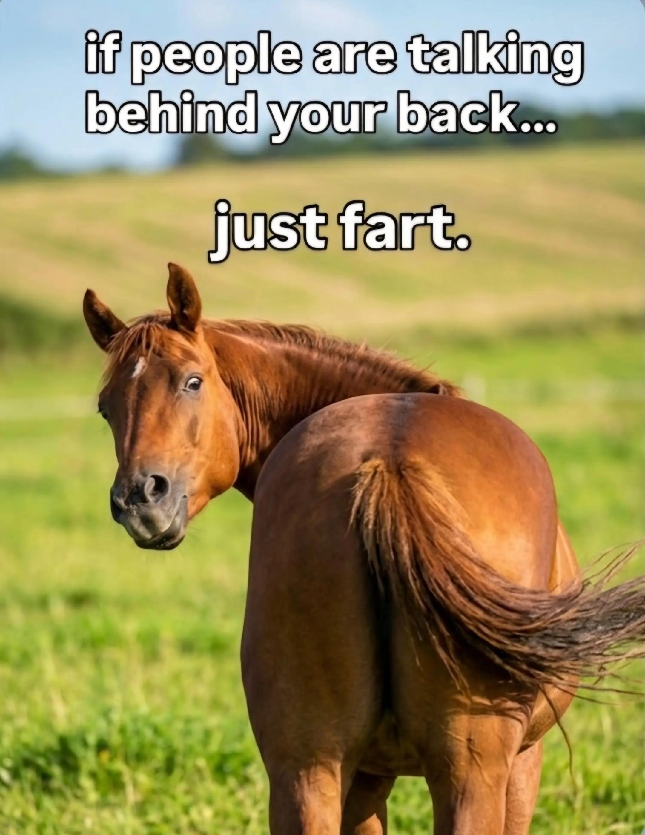 @streamhorse