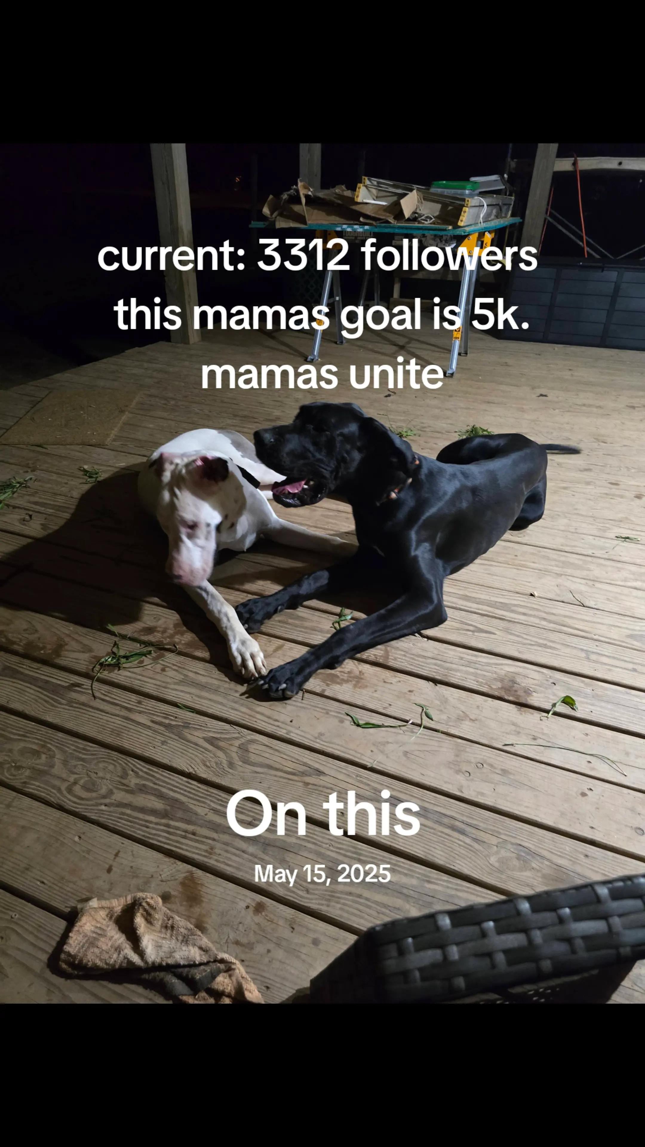@Ti Ti 🌻 Sunflowers & Stitches