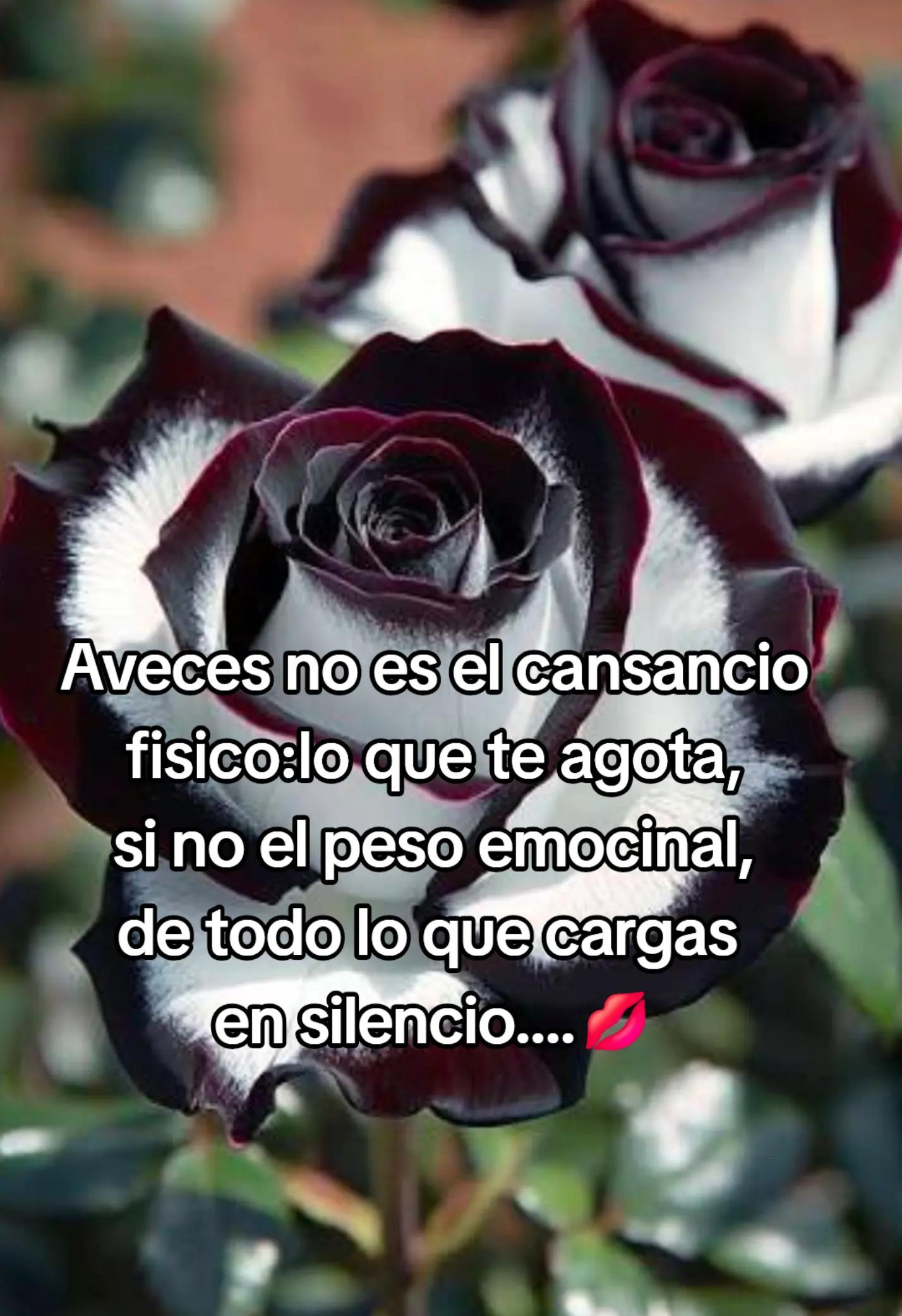 @CARMEEN ESPINOSA #5❤💙💙🩷🩷🩷