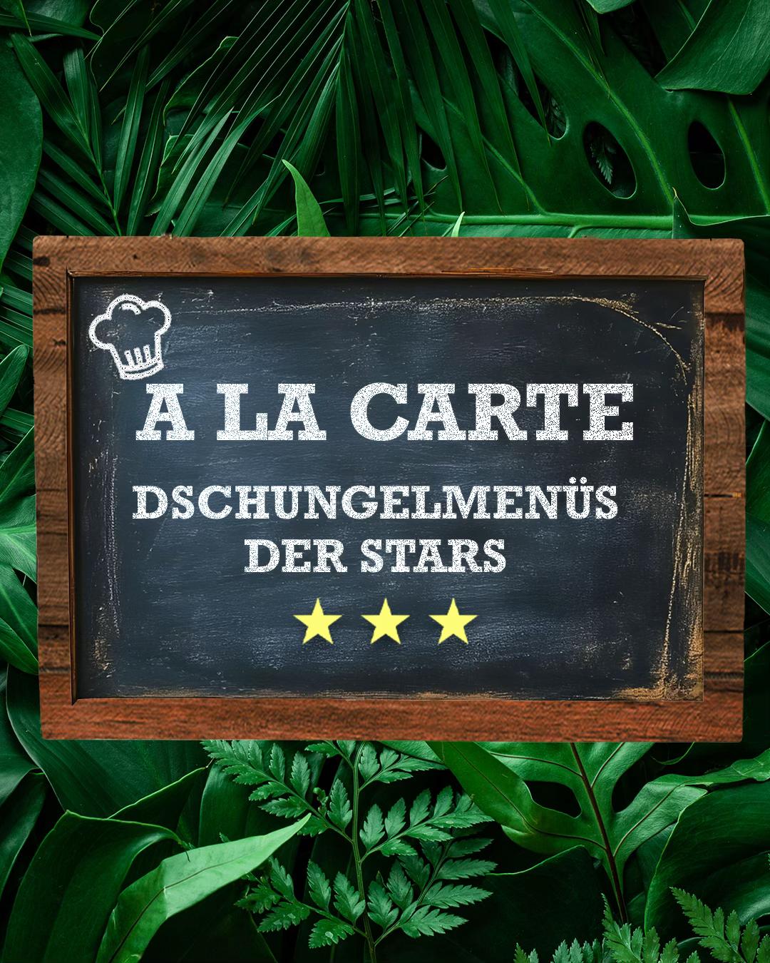 @ichbineinstar.de