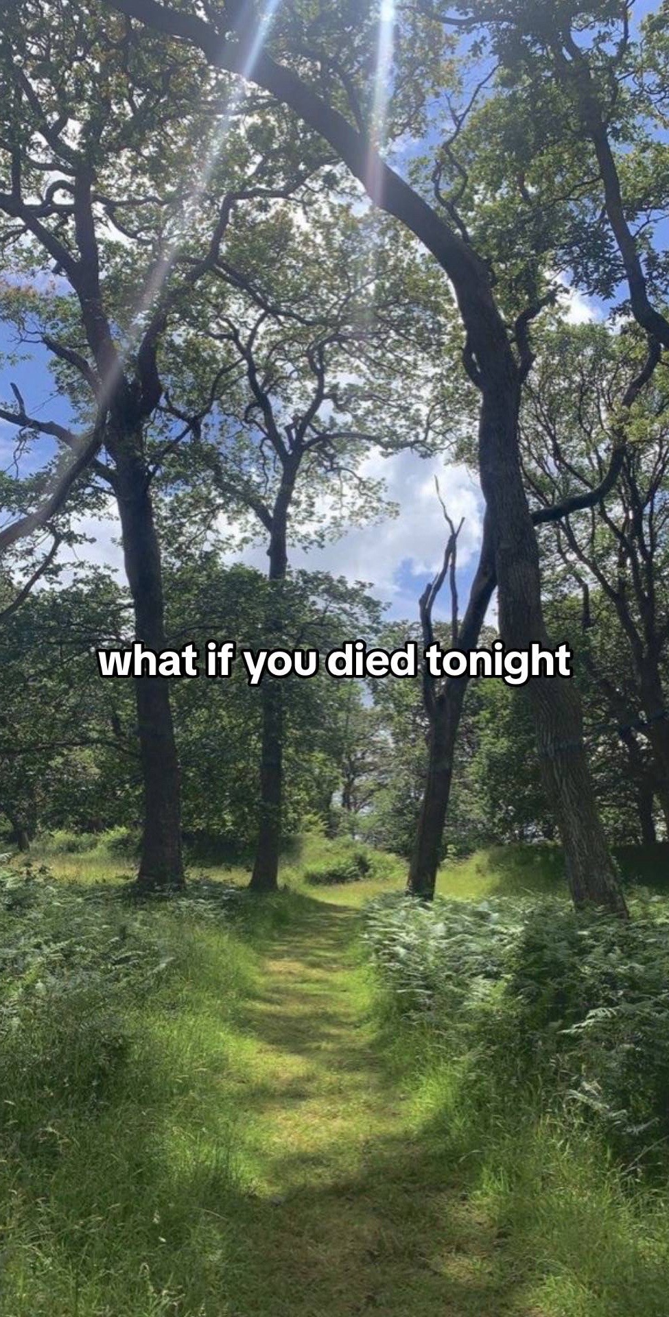 @Suu