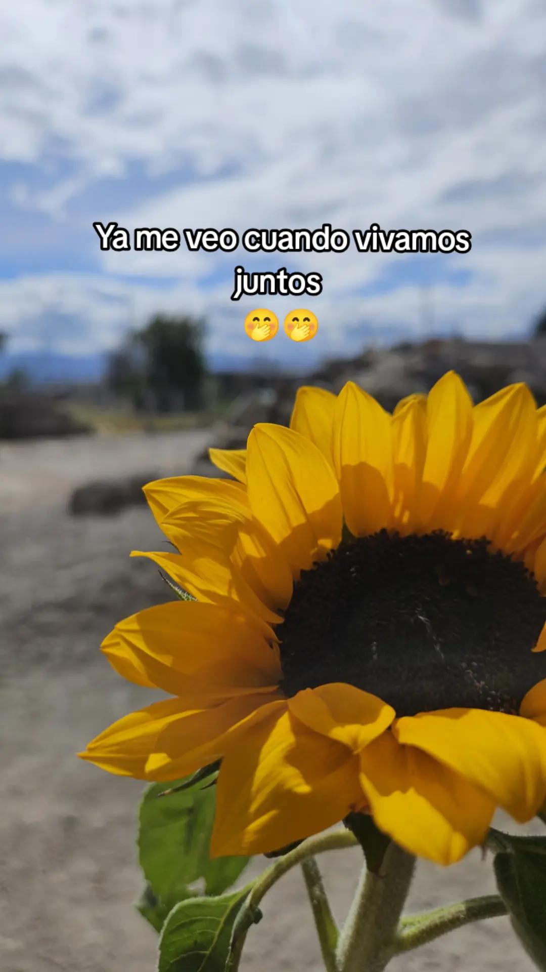 @Ery 😊