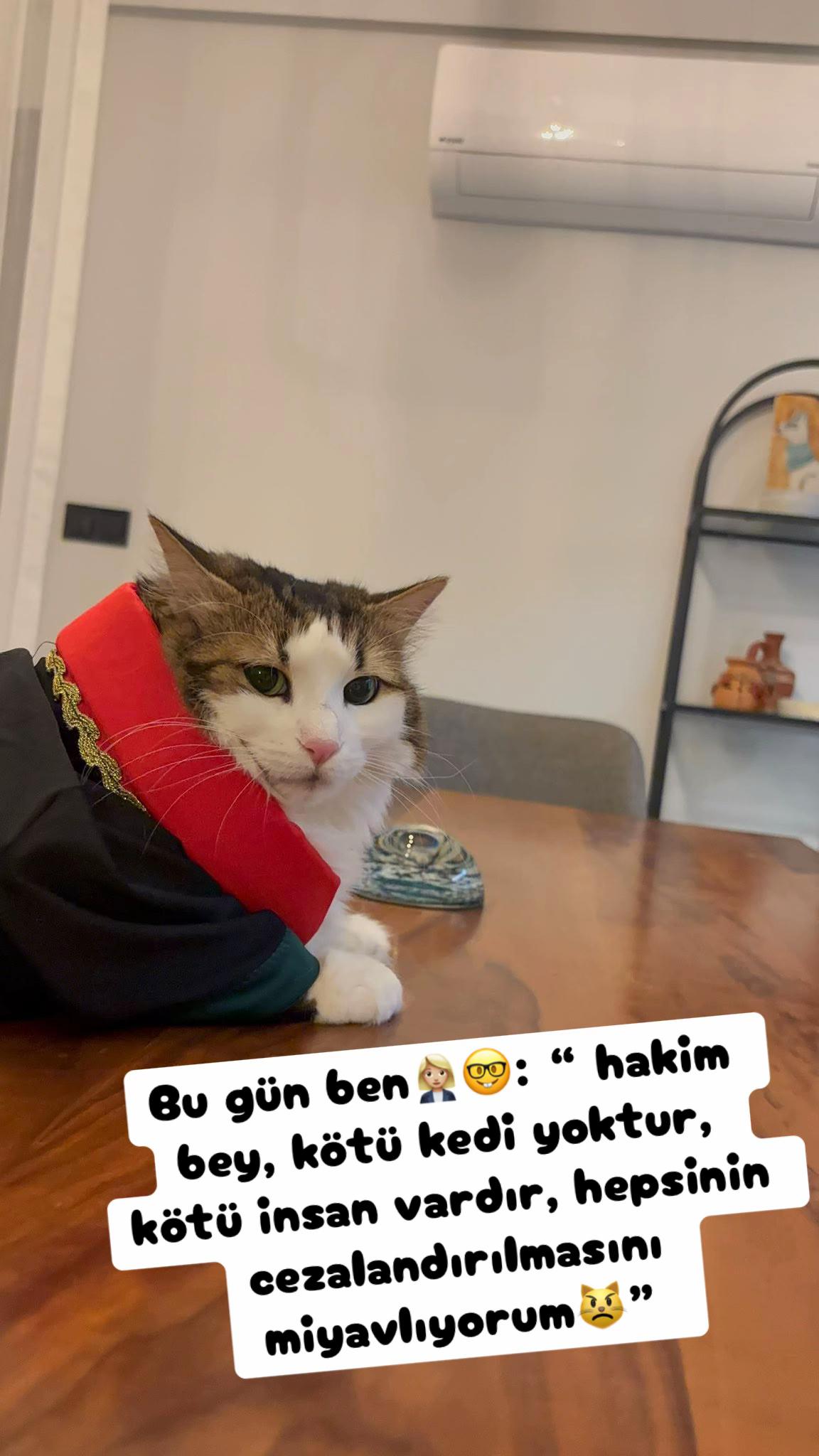 @Şapkalı Kadın