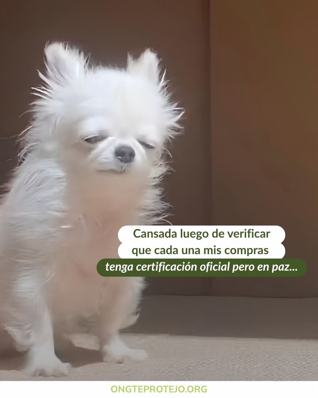 @Te Protejo