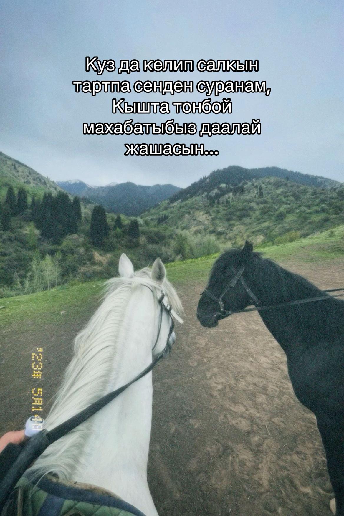 @𝓡𝓪𝔃𝓪𝓷𝓪