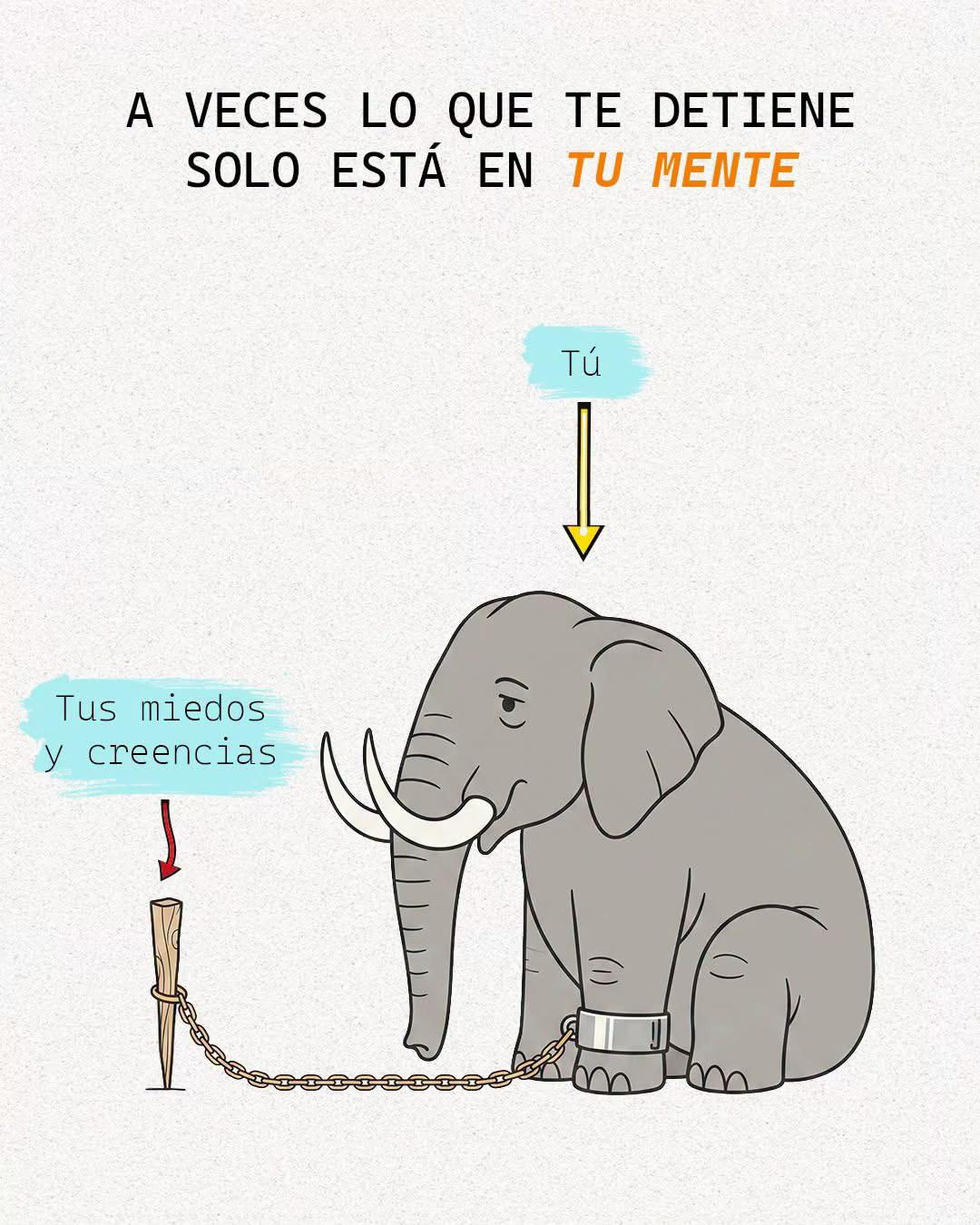 @Planea Tu Retiro