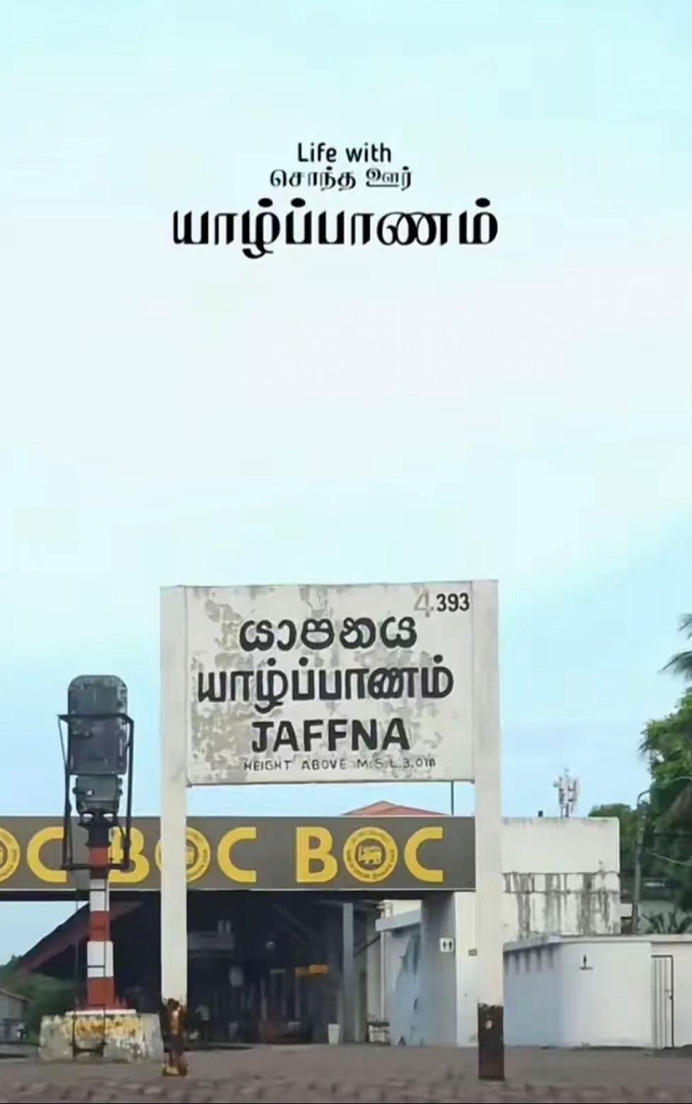@𝗗&iota;〽️&rho;&iota;ℓ  .🅑ꪮყ 🍃