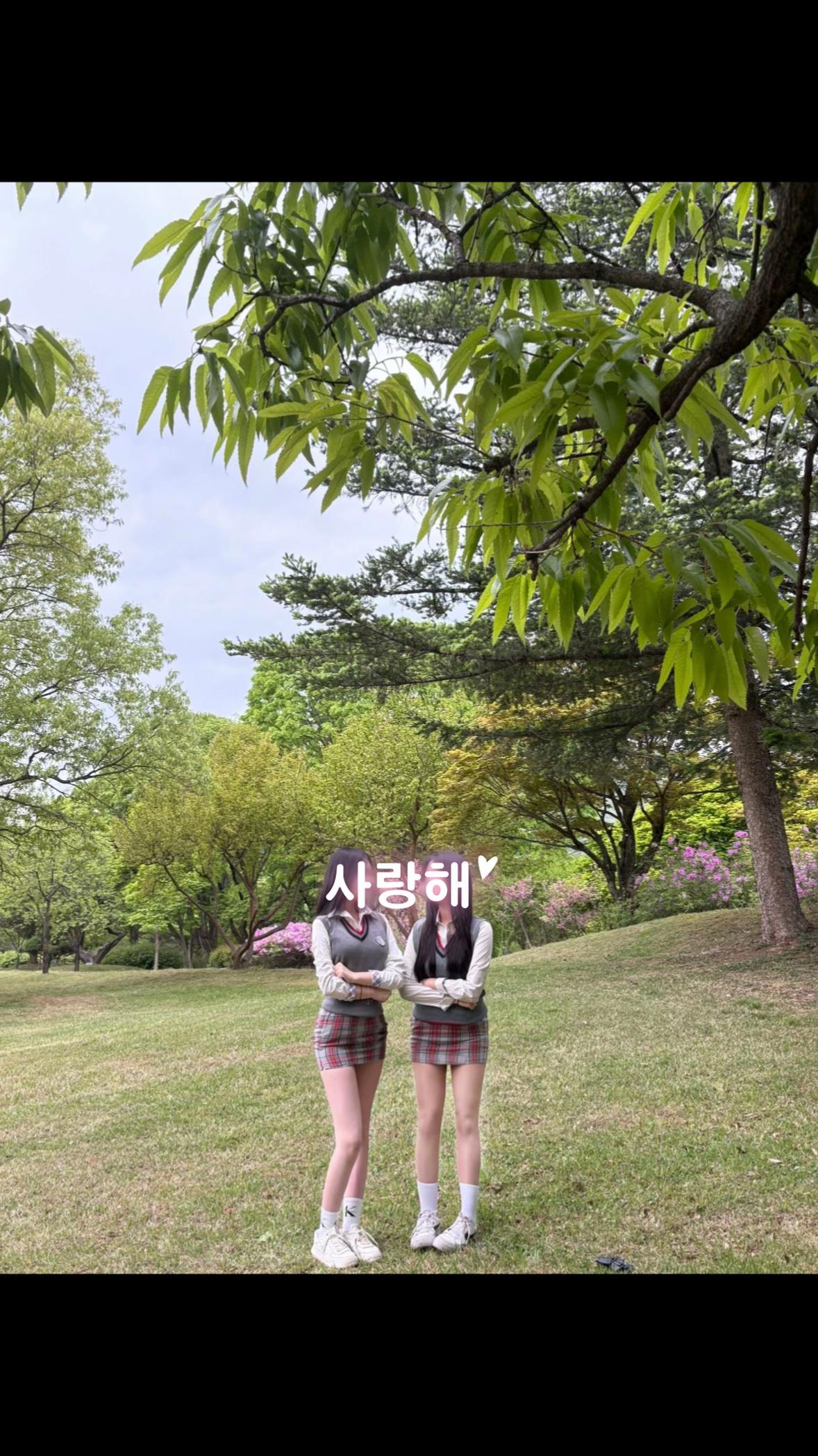 @돌고래