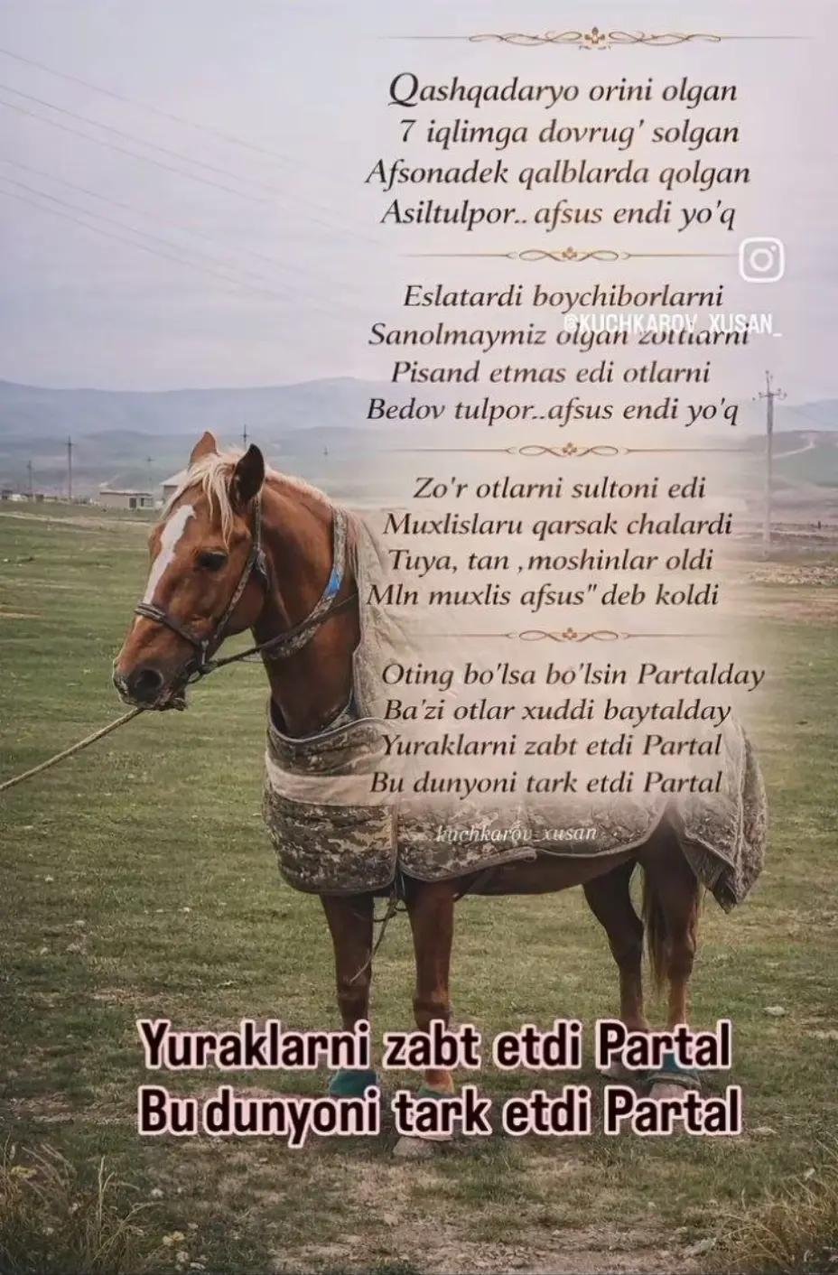 @Fazzli_Palvon_N1