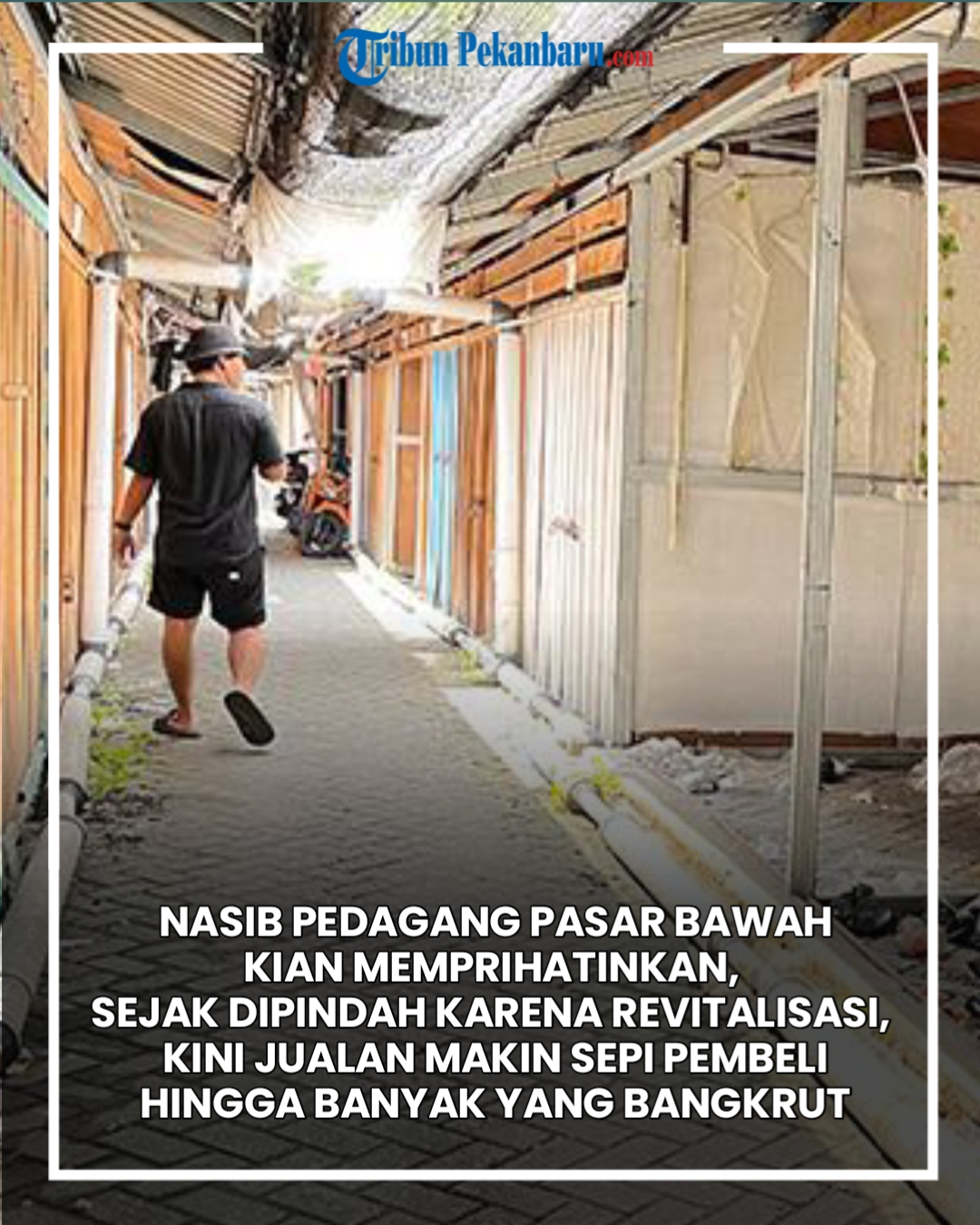 @Tribun Pekanbaru