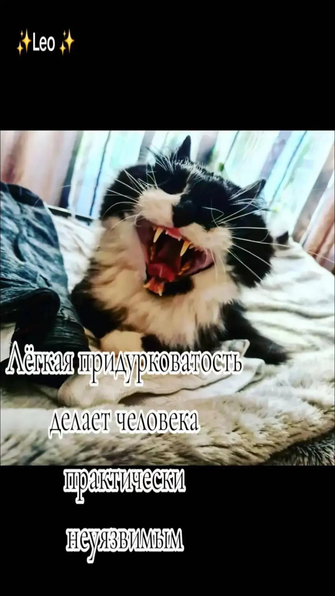 @꧁☬ℒℯℴ☬꧂