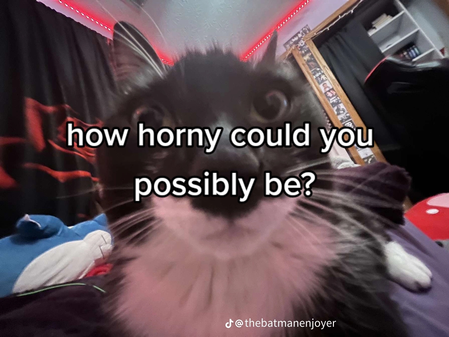 @ya boy Apollo