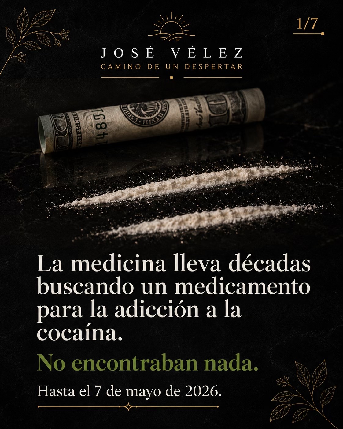 @José Vélez