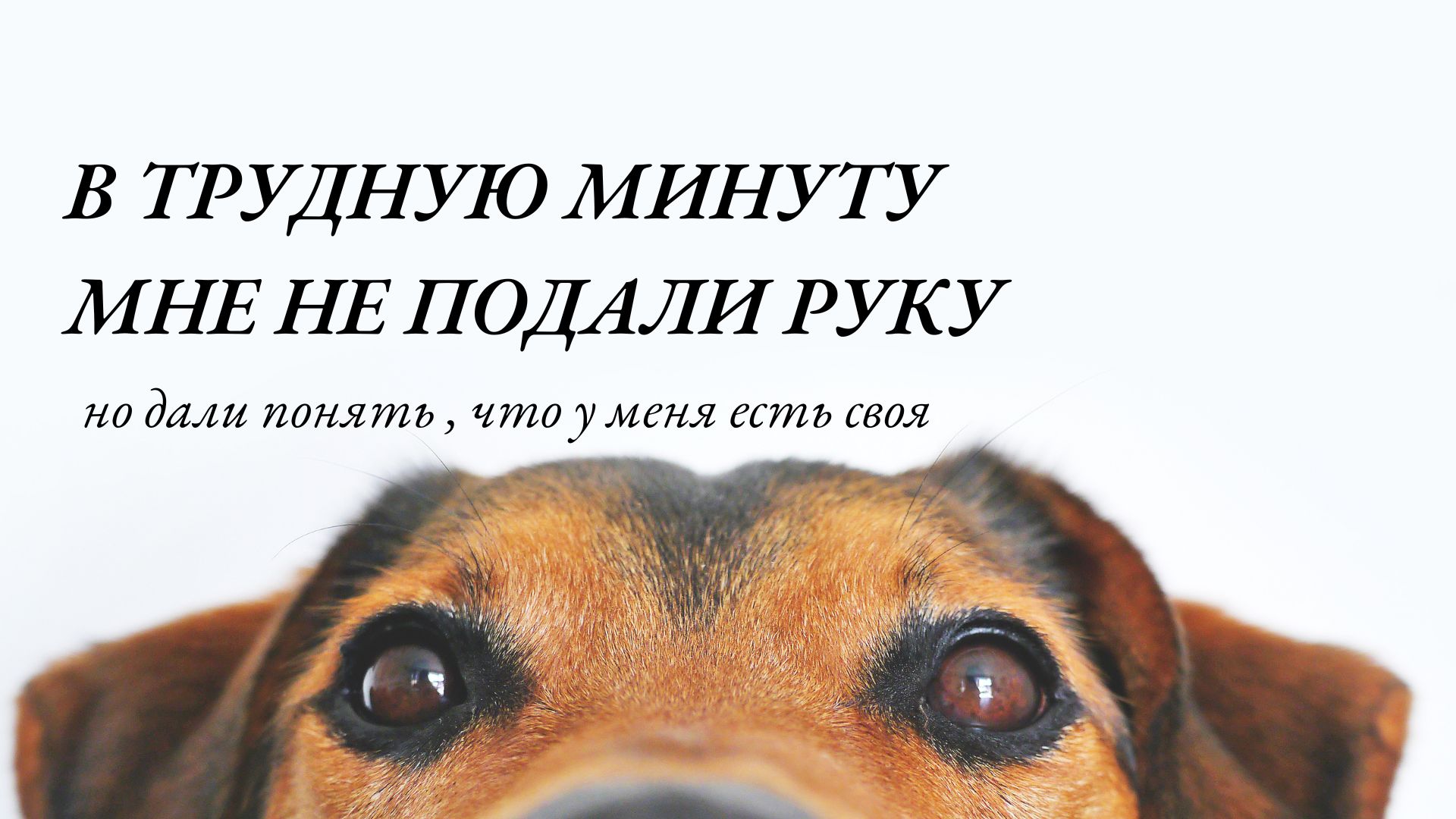@витамин💊